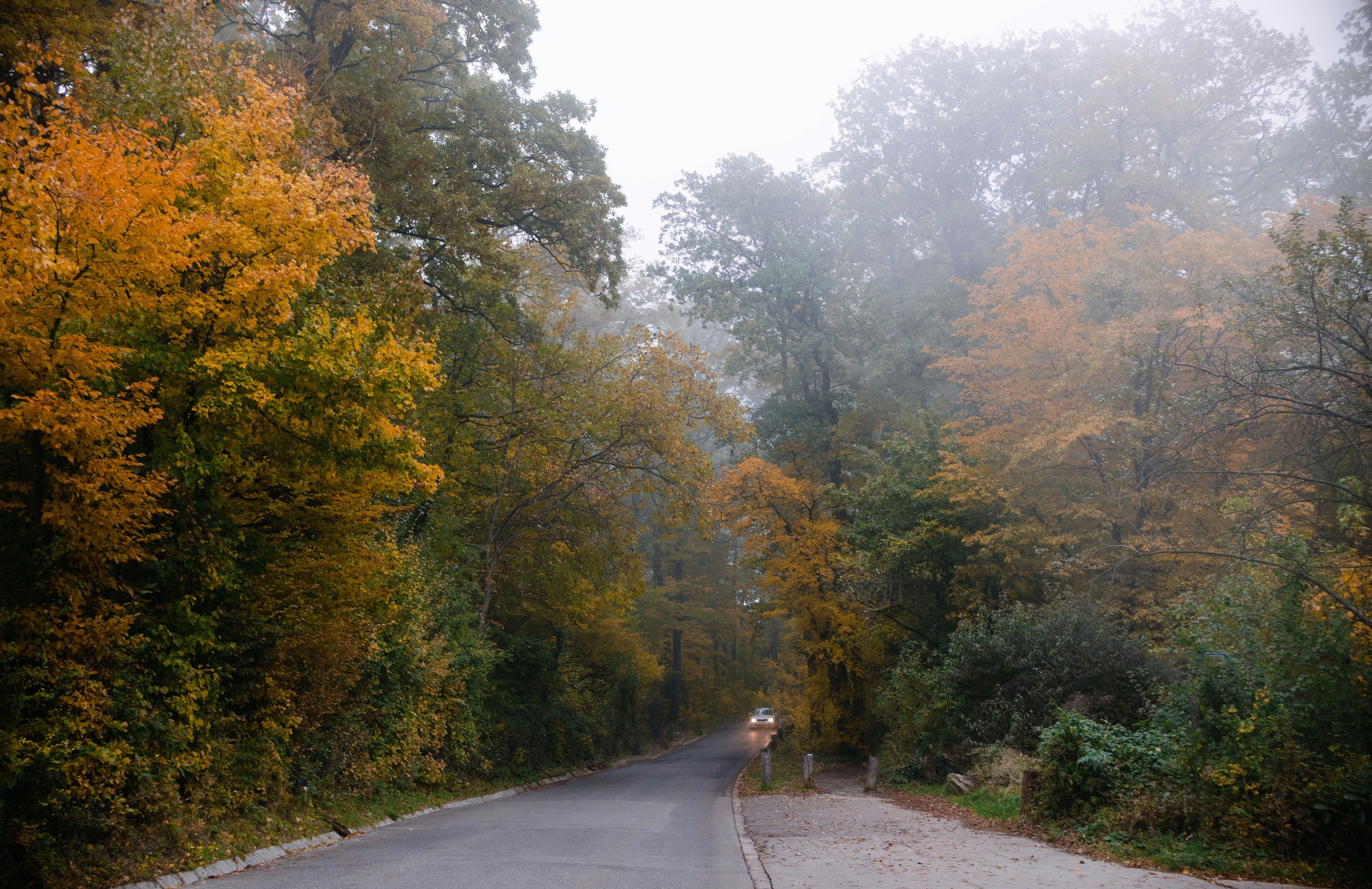 Photo by photohelensoroka