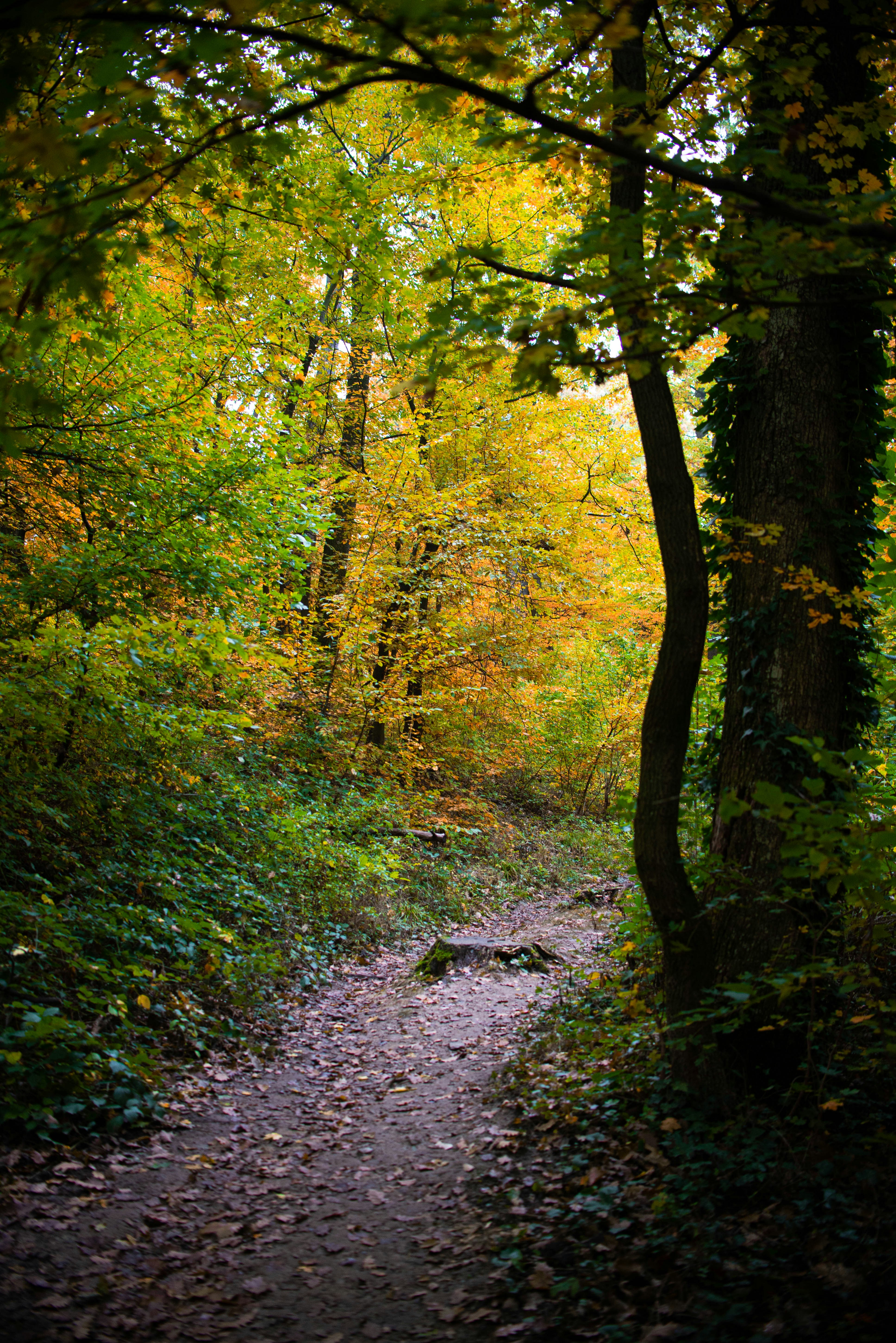 Photo by photohelensoroka