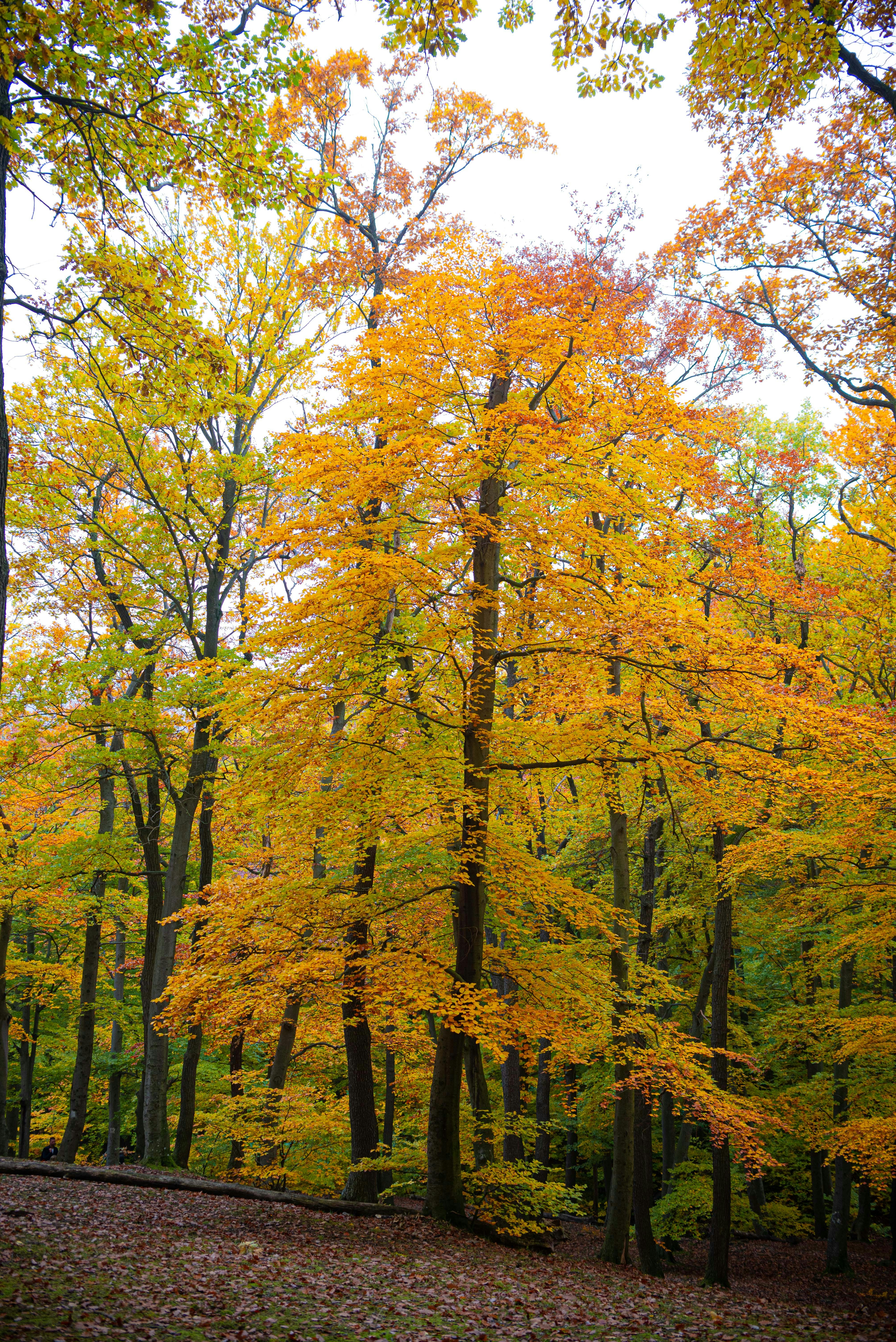 Photo by photohelensoroka