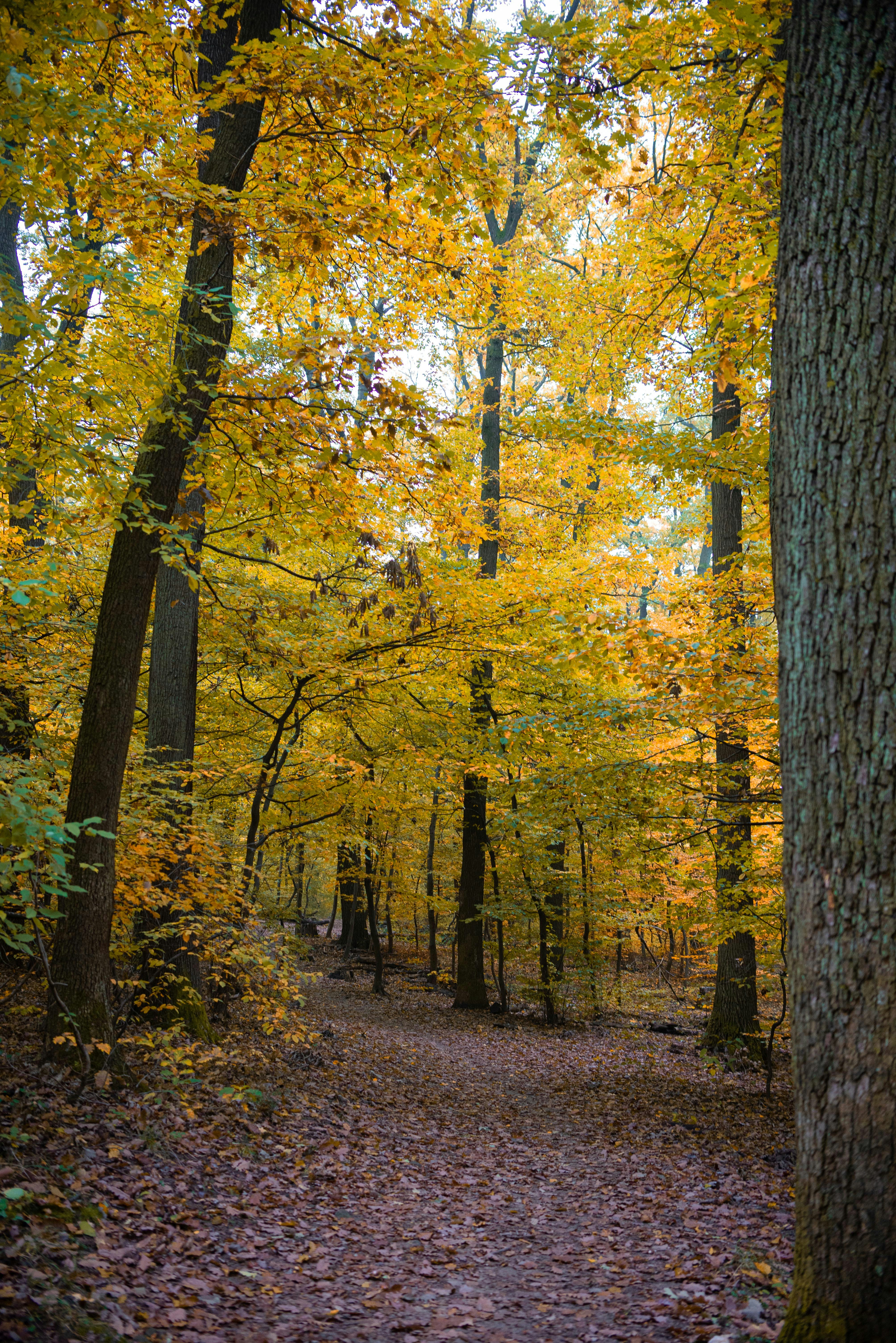 Photo by photohelensoroka