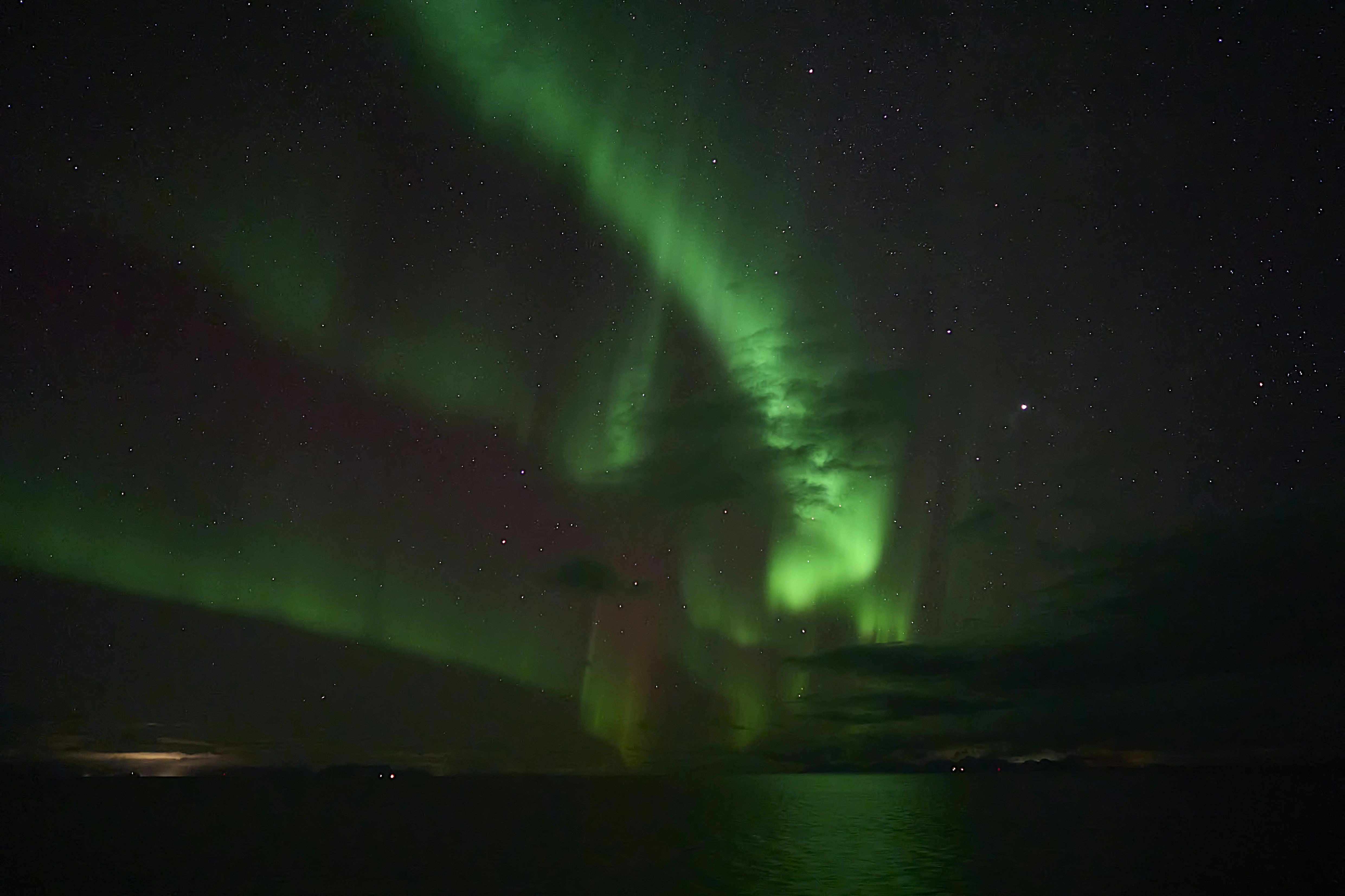 Photo by wolfgang_hasselmann