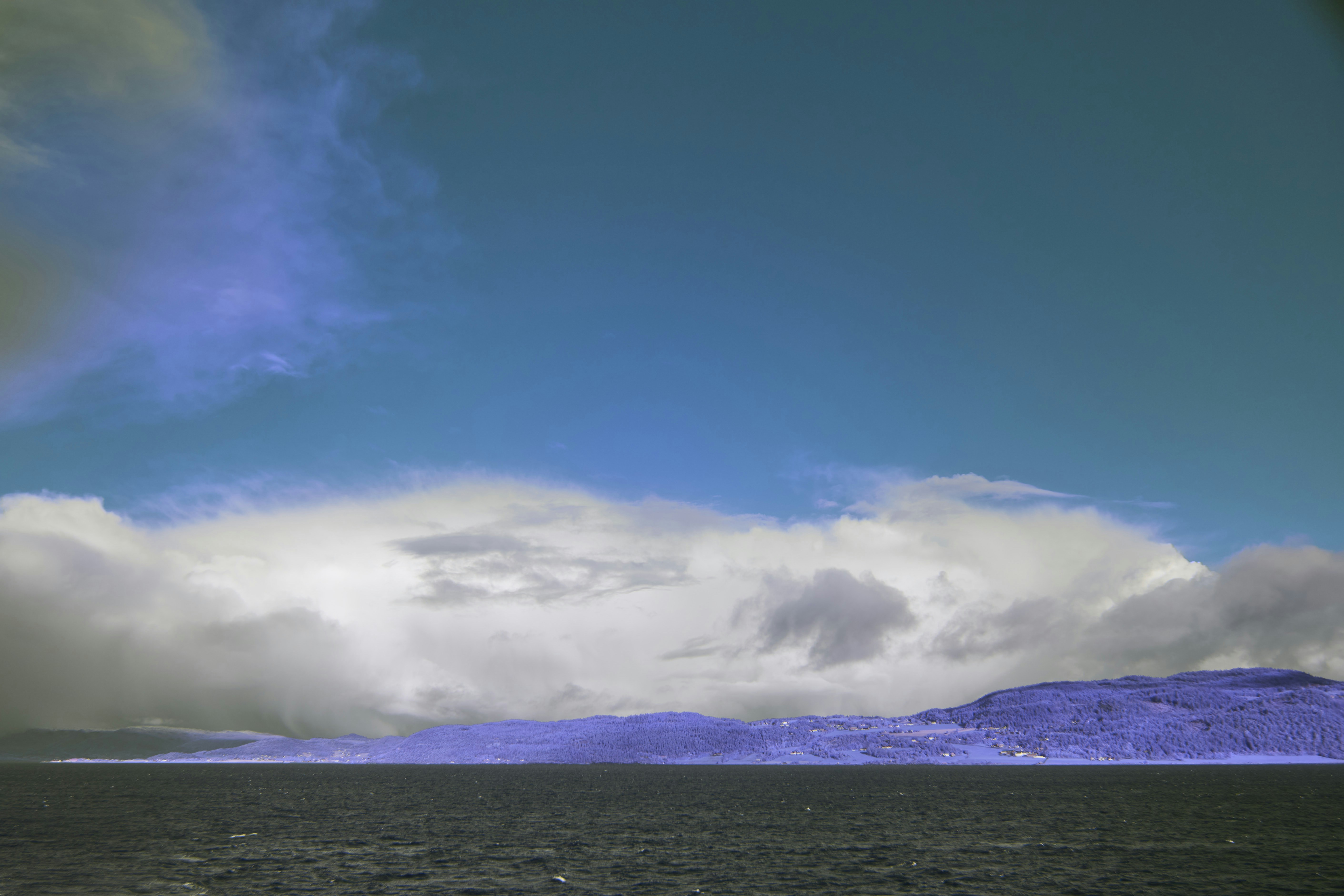 Photo by wolfgang_hasselmann