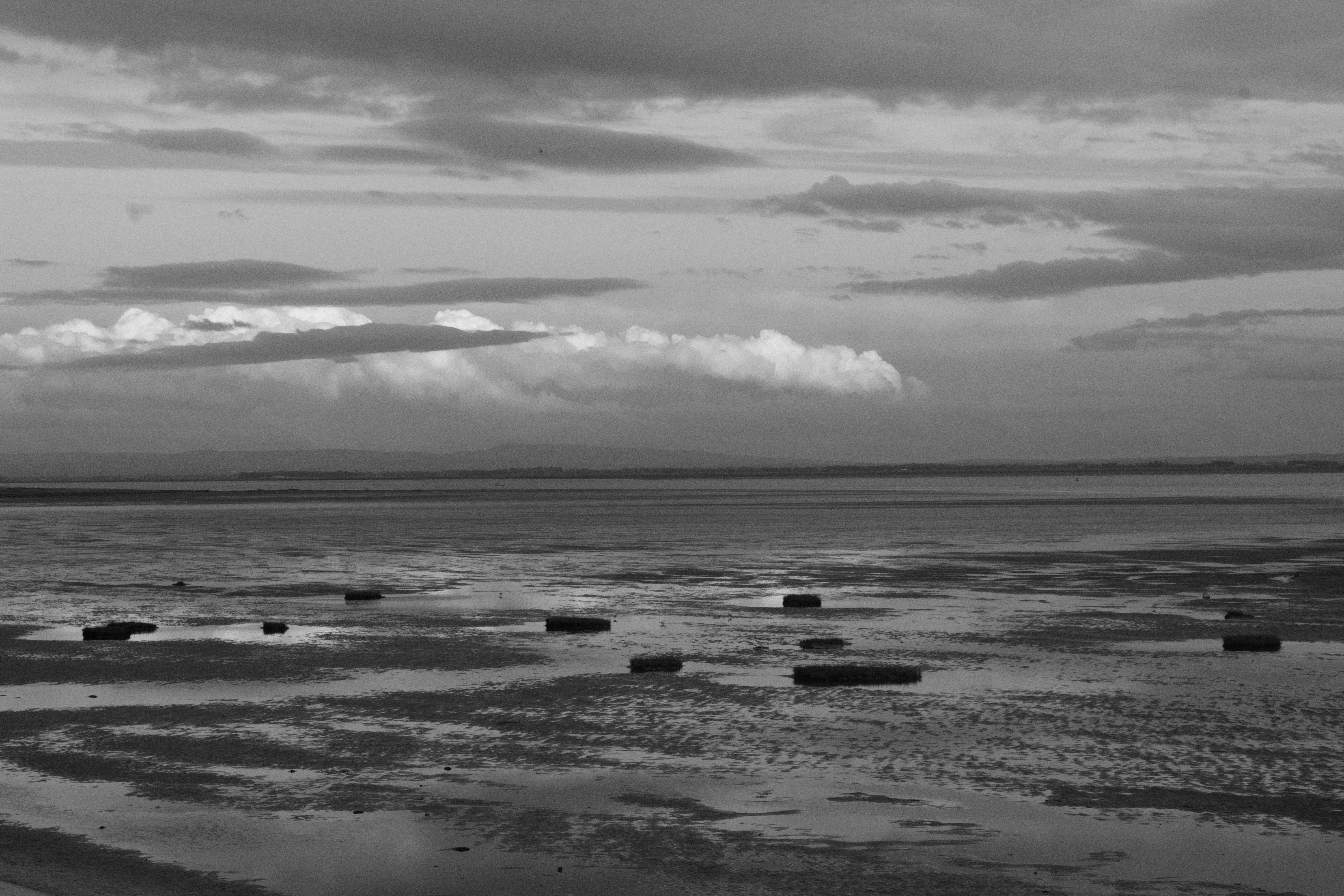 Photo by poppy_waddington