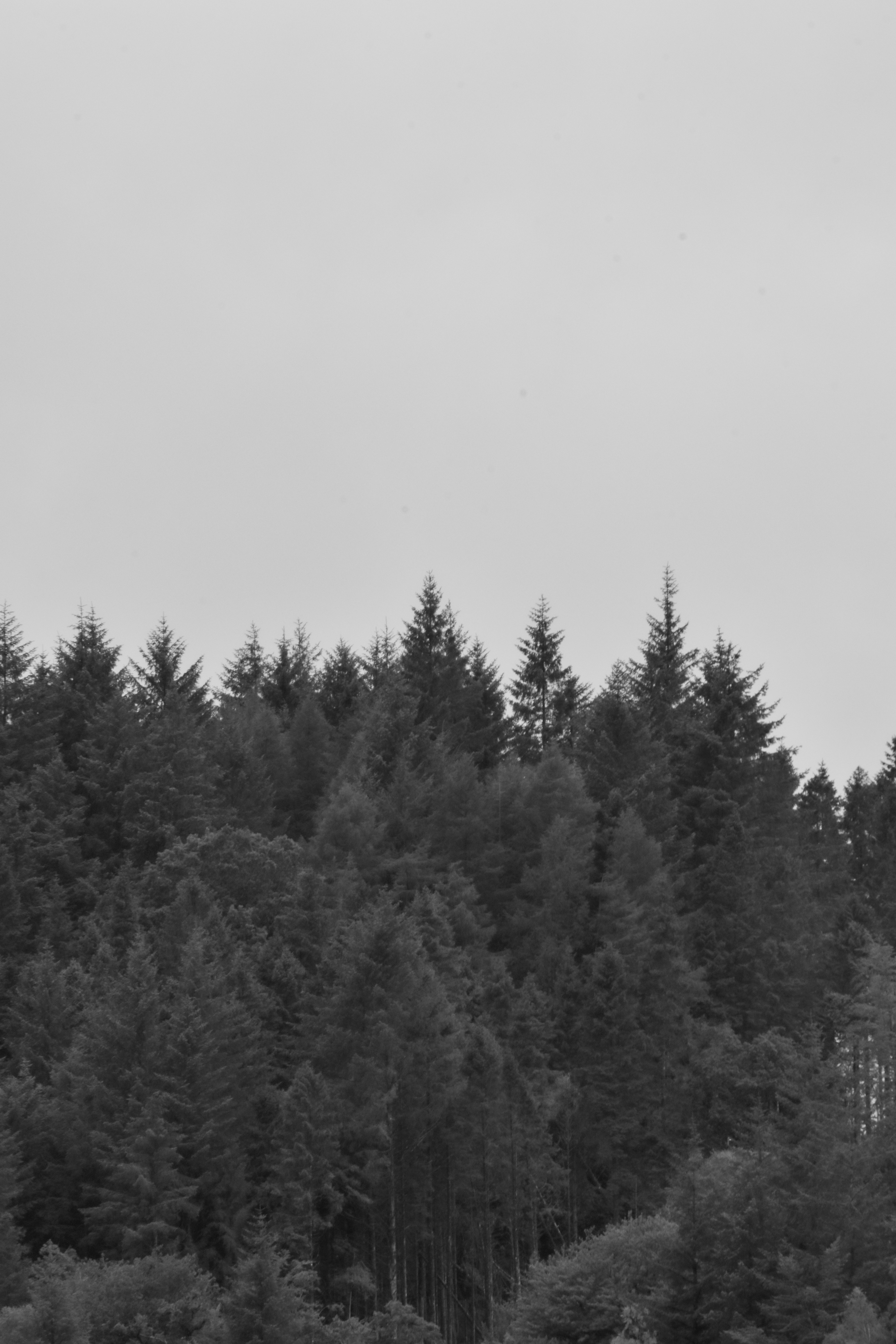 Photo by poppy_waddington