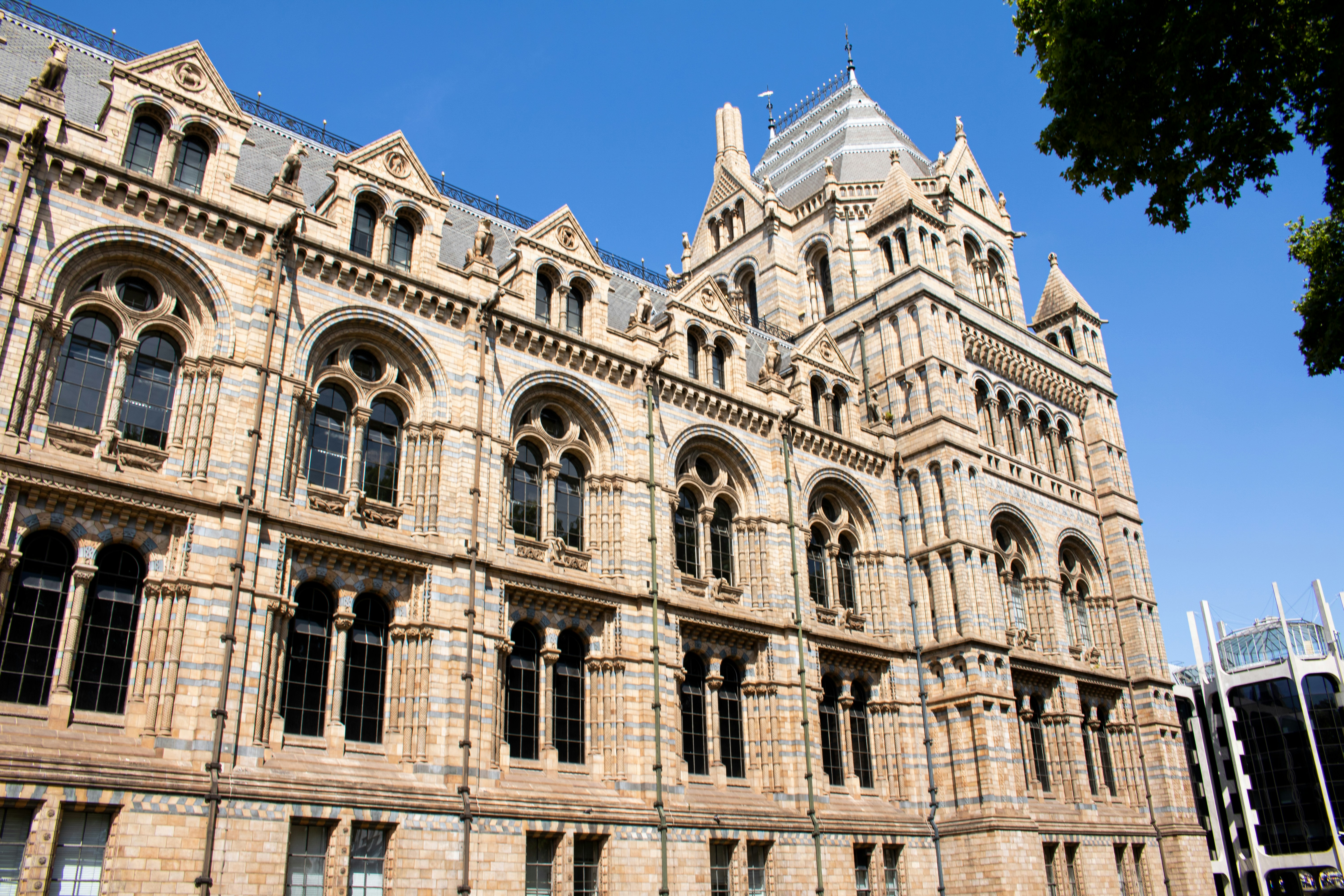 Photo by shansonmedia