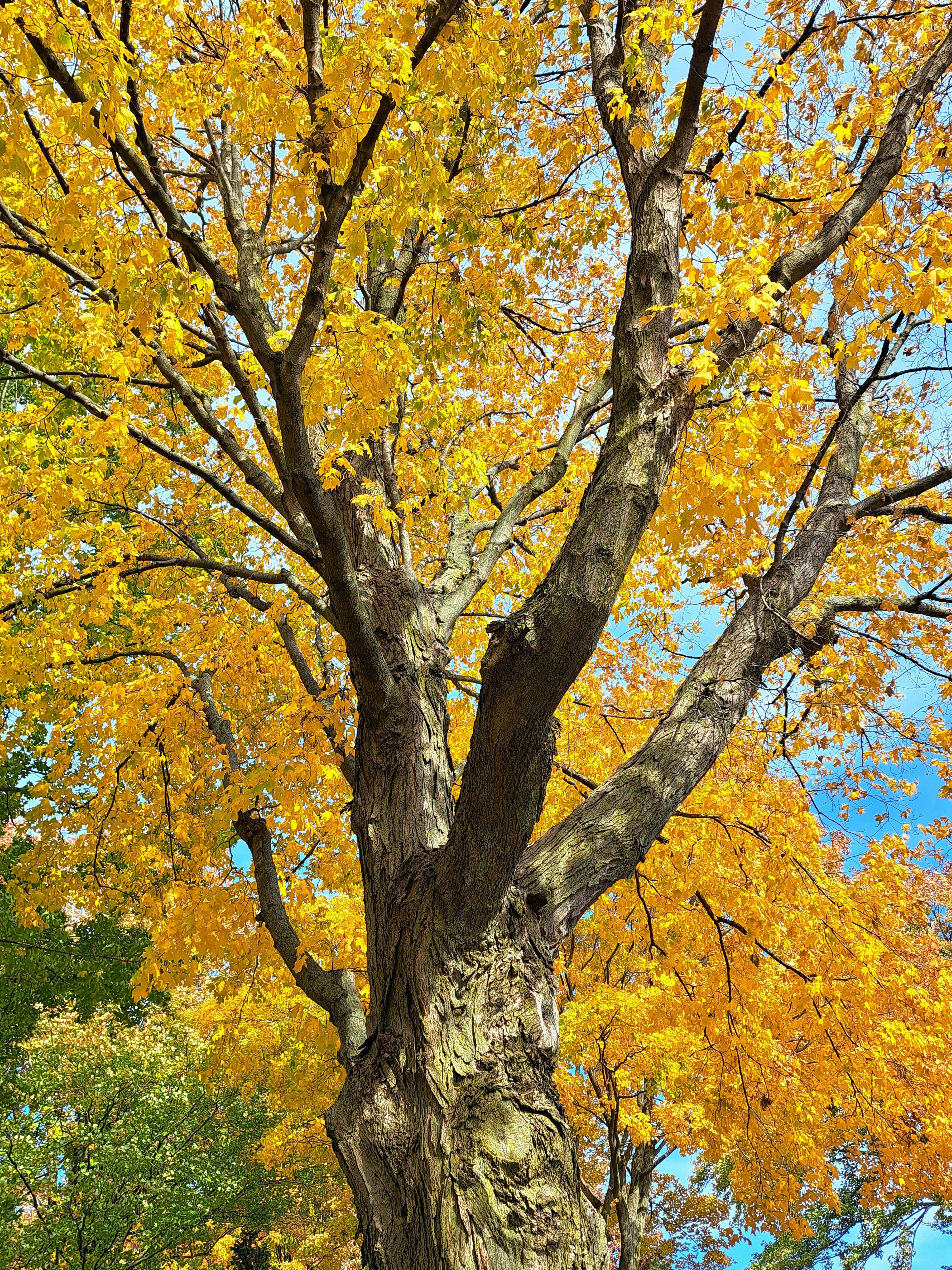 Photo by 41momentintime