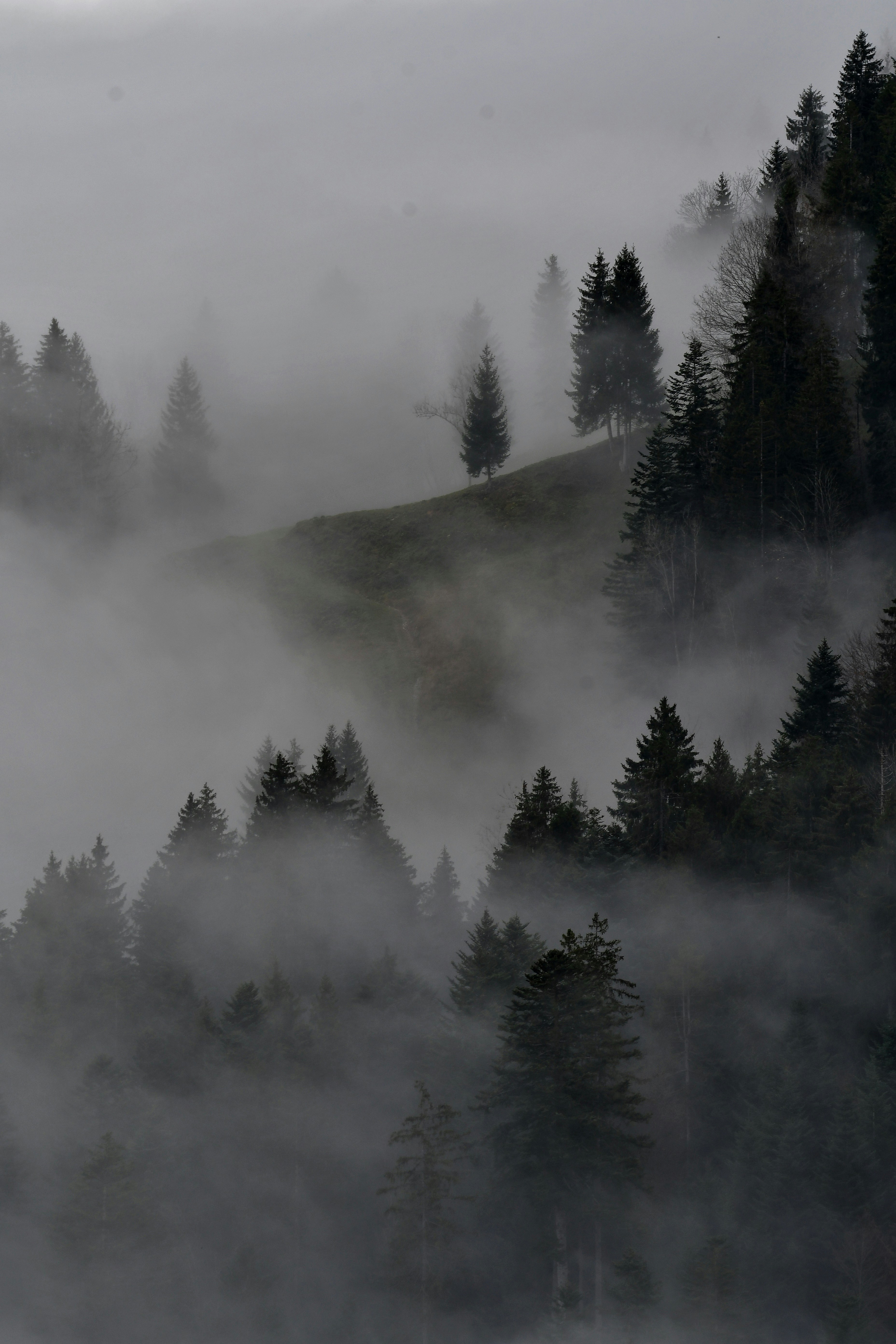 Photo by pedrino5_official