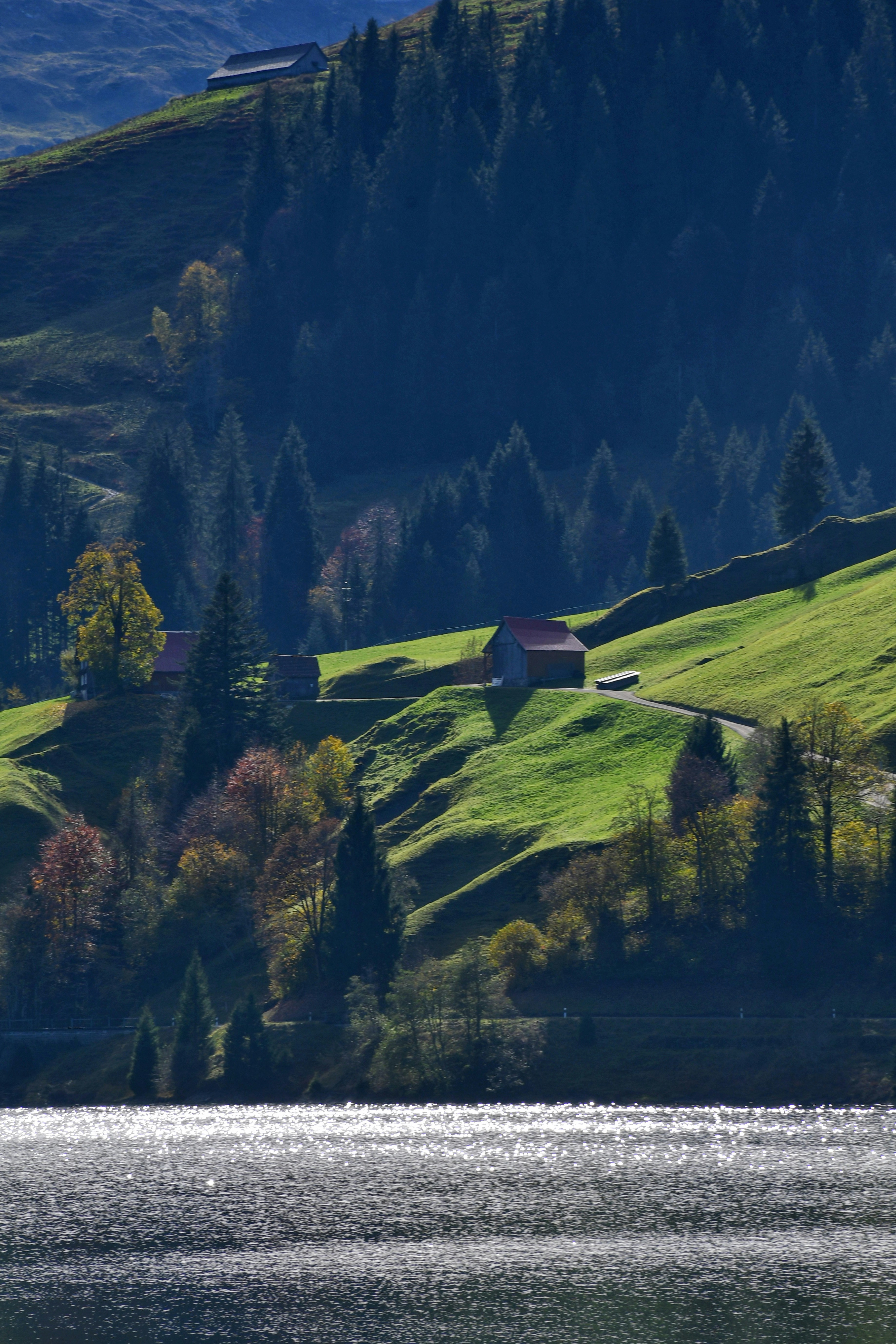 Photo by pedrino5_official