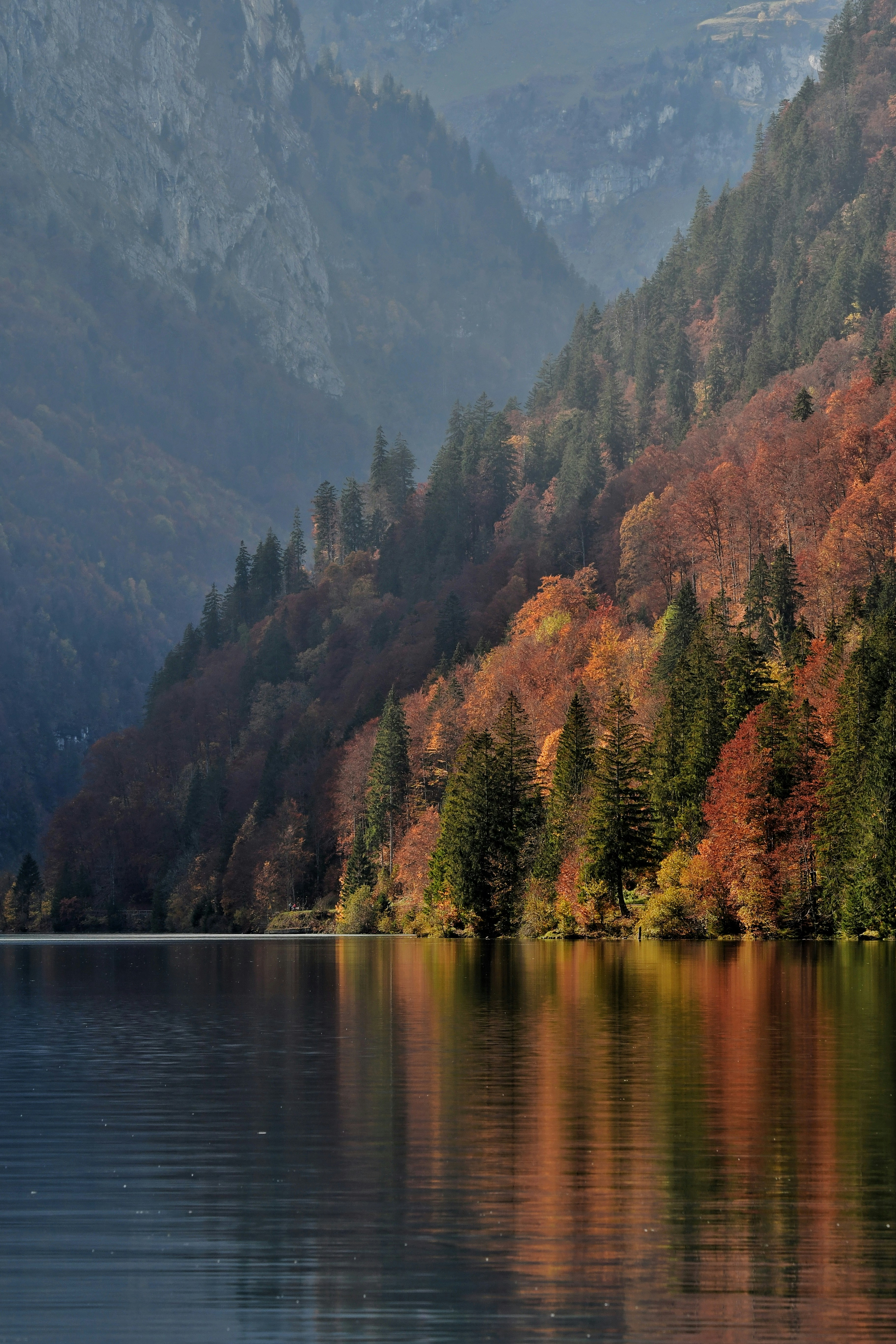 Photo by pedrino5_official