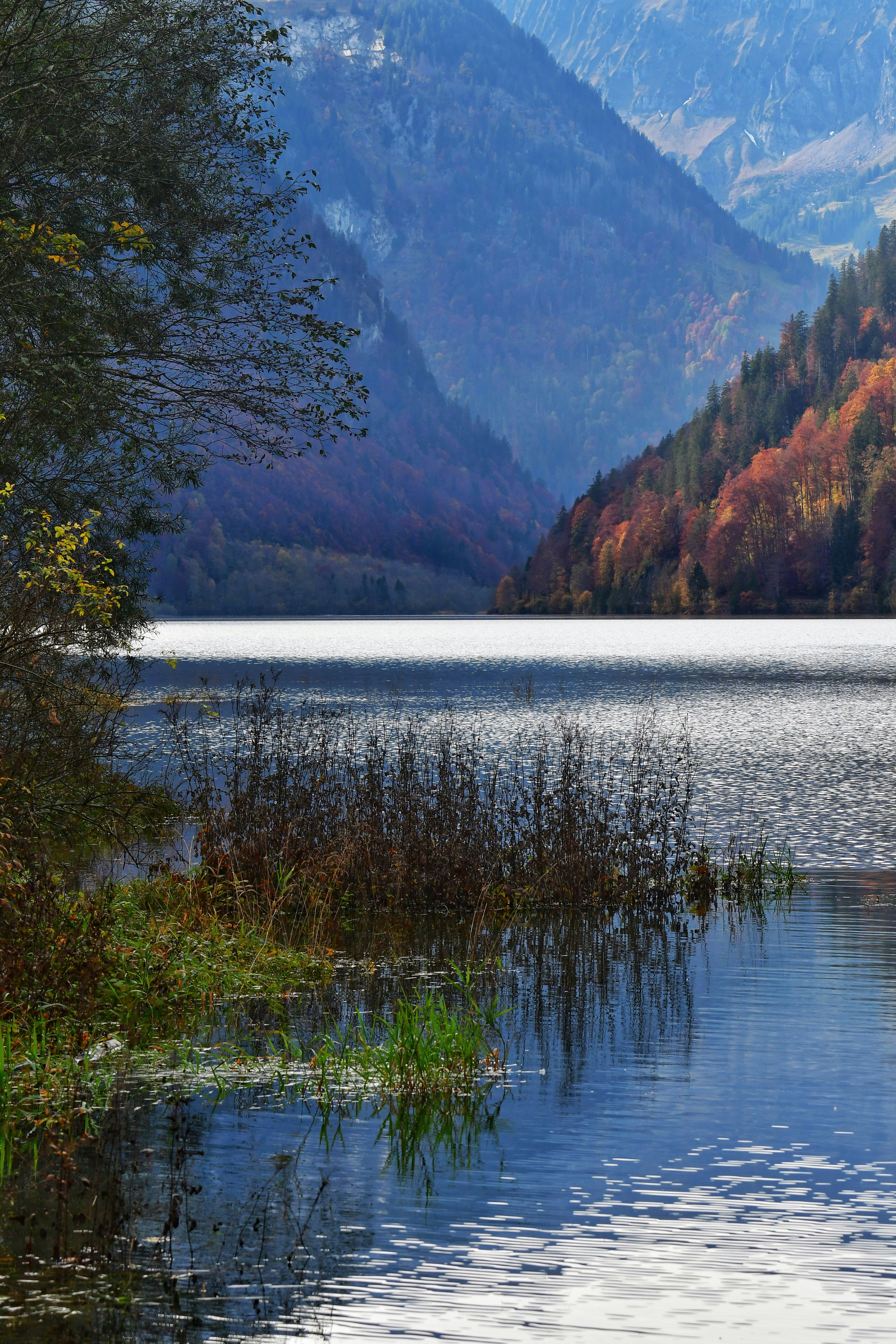 Photo by pedrino5_official