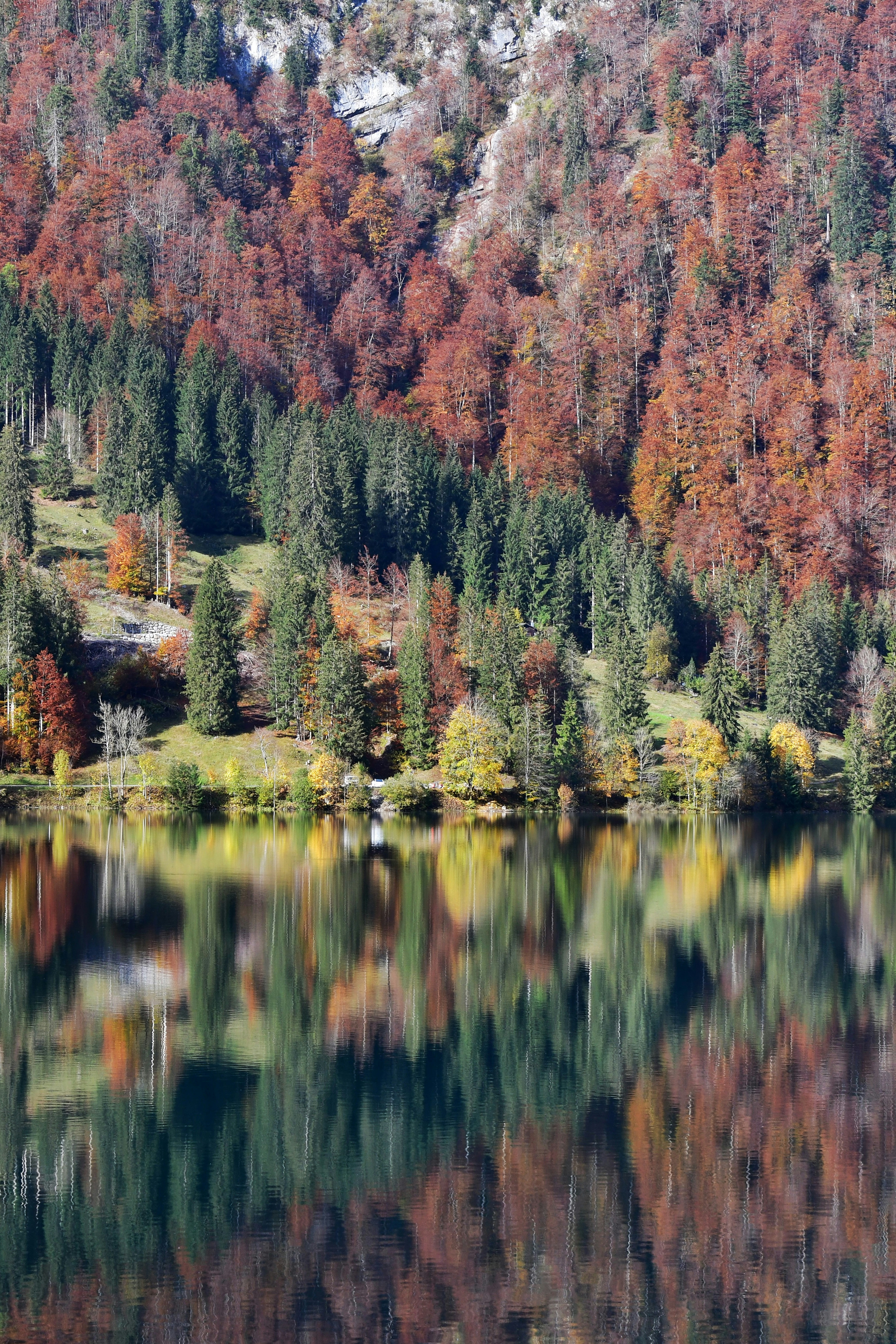 Photo by pedrino5_official