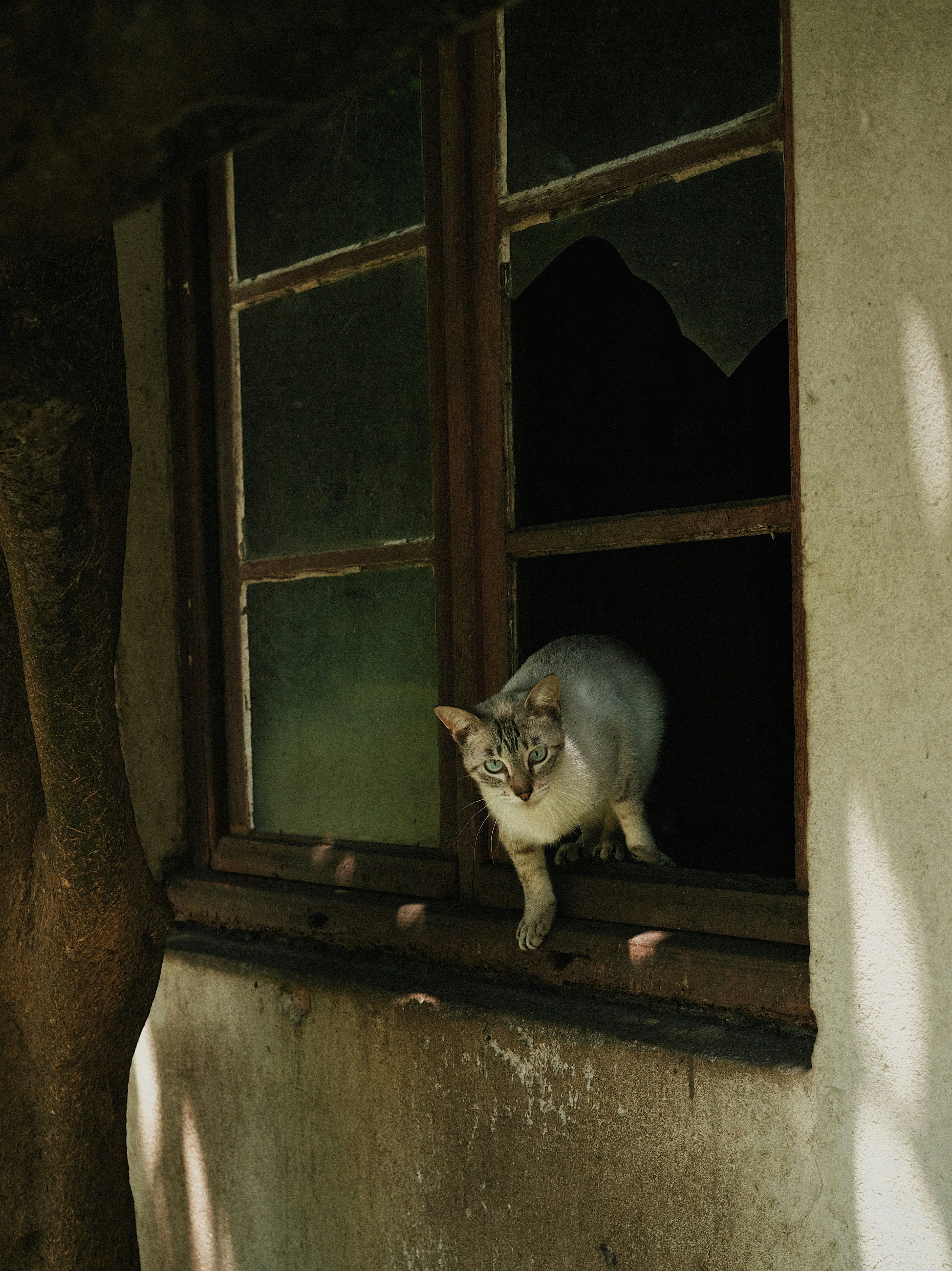 The Creaks and Groans of the House (image credits: unsplash)