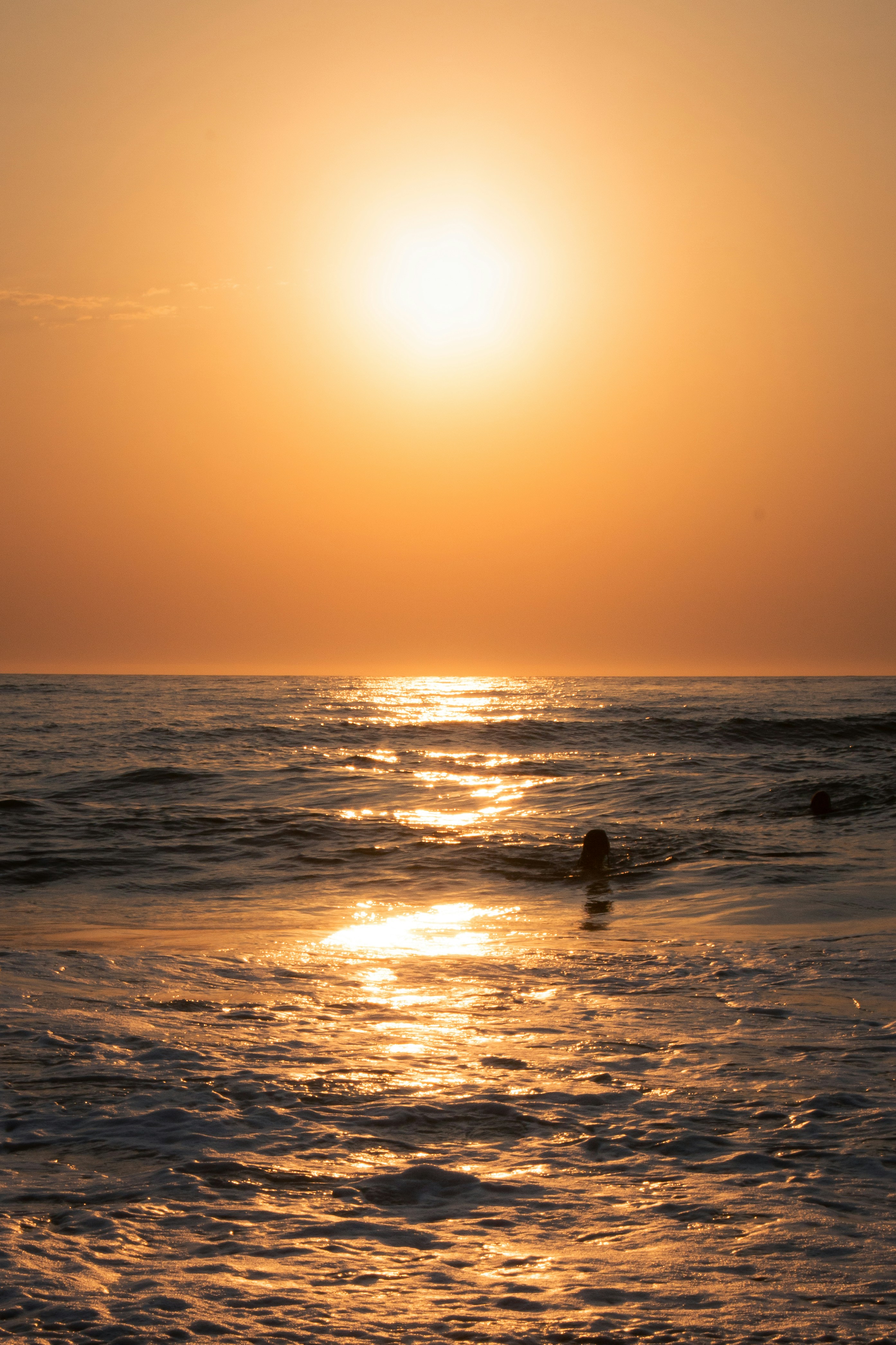 Photo by gchab_photography