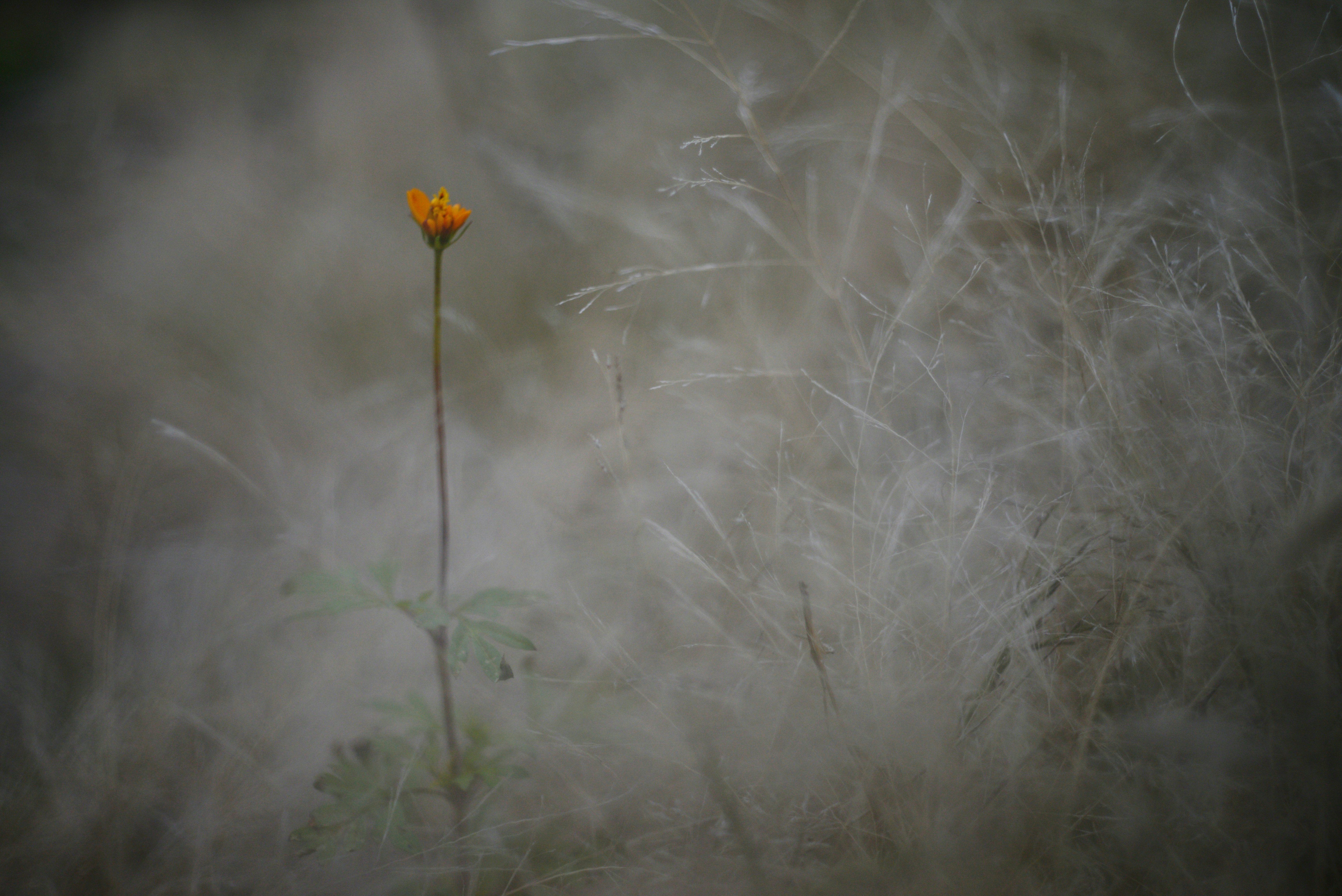 Photo by cherstve_pechivo