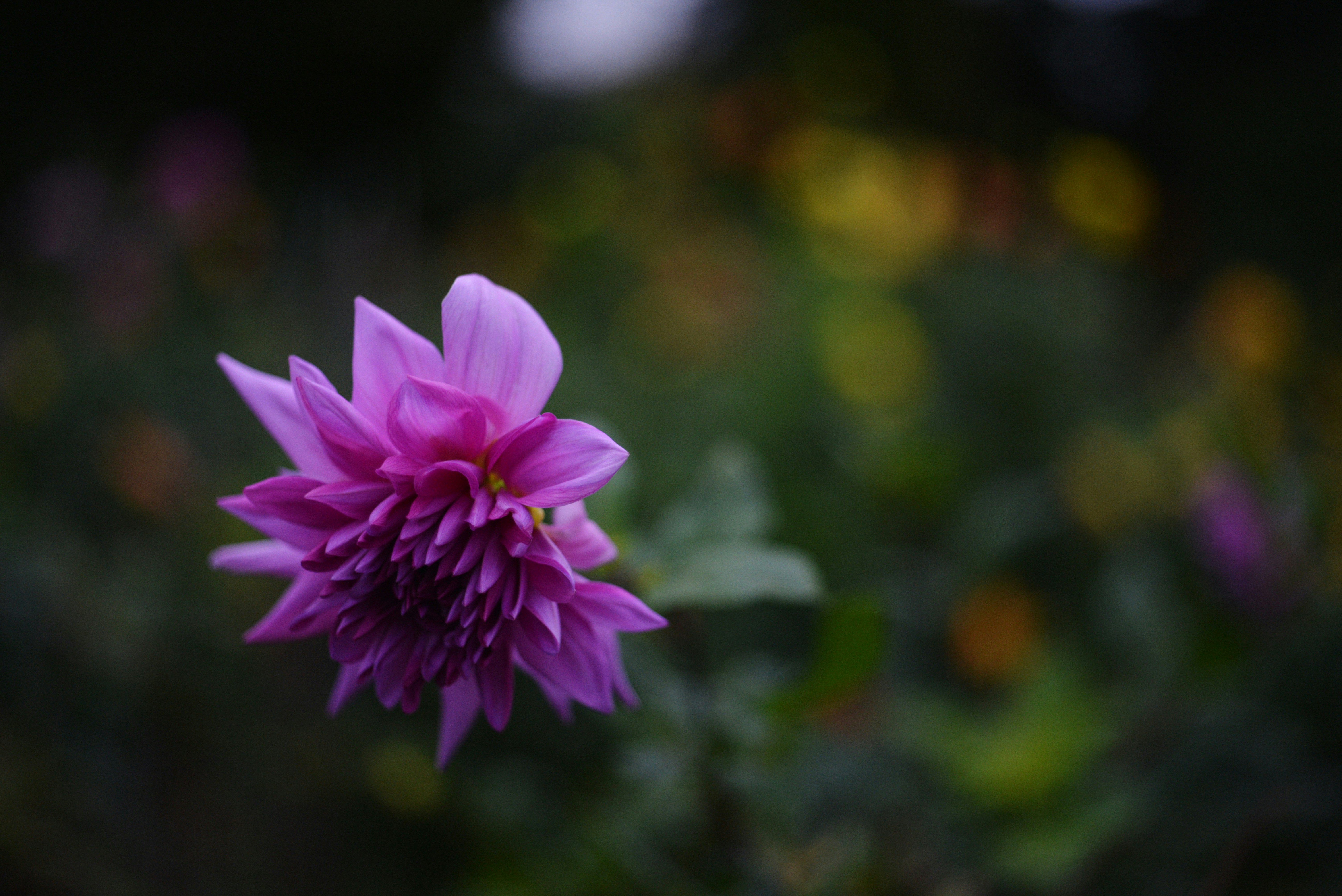 Photo by cherstve_pechivo