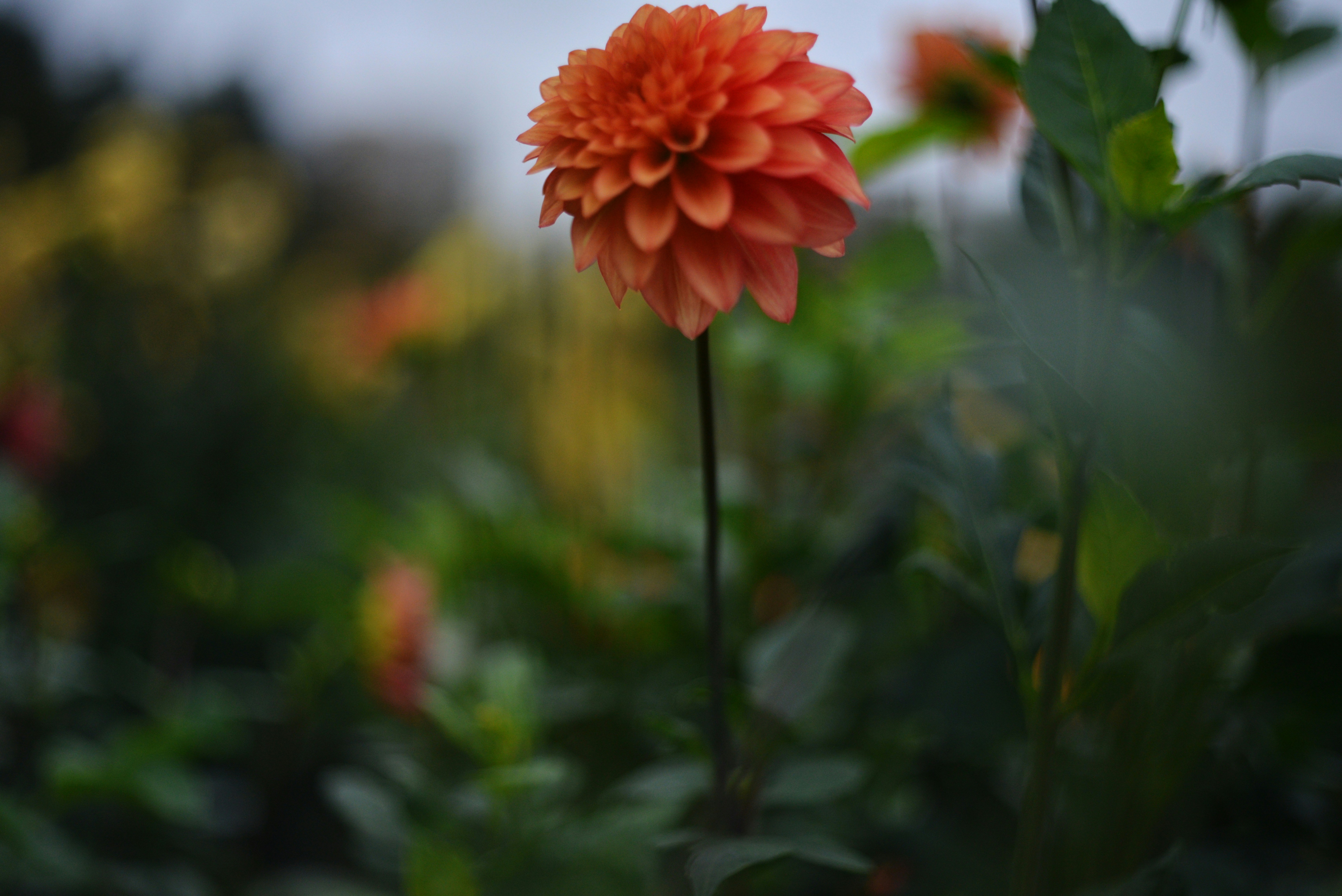 Photo by cherstve_pechivo