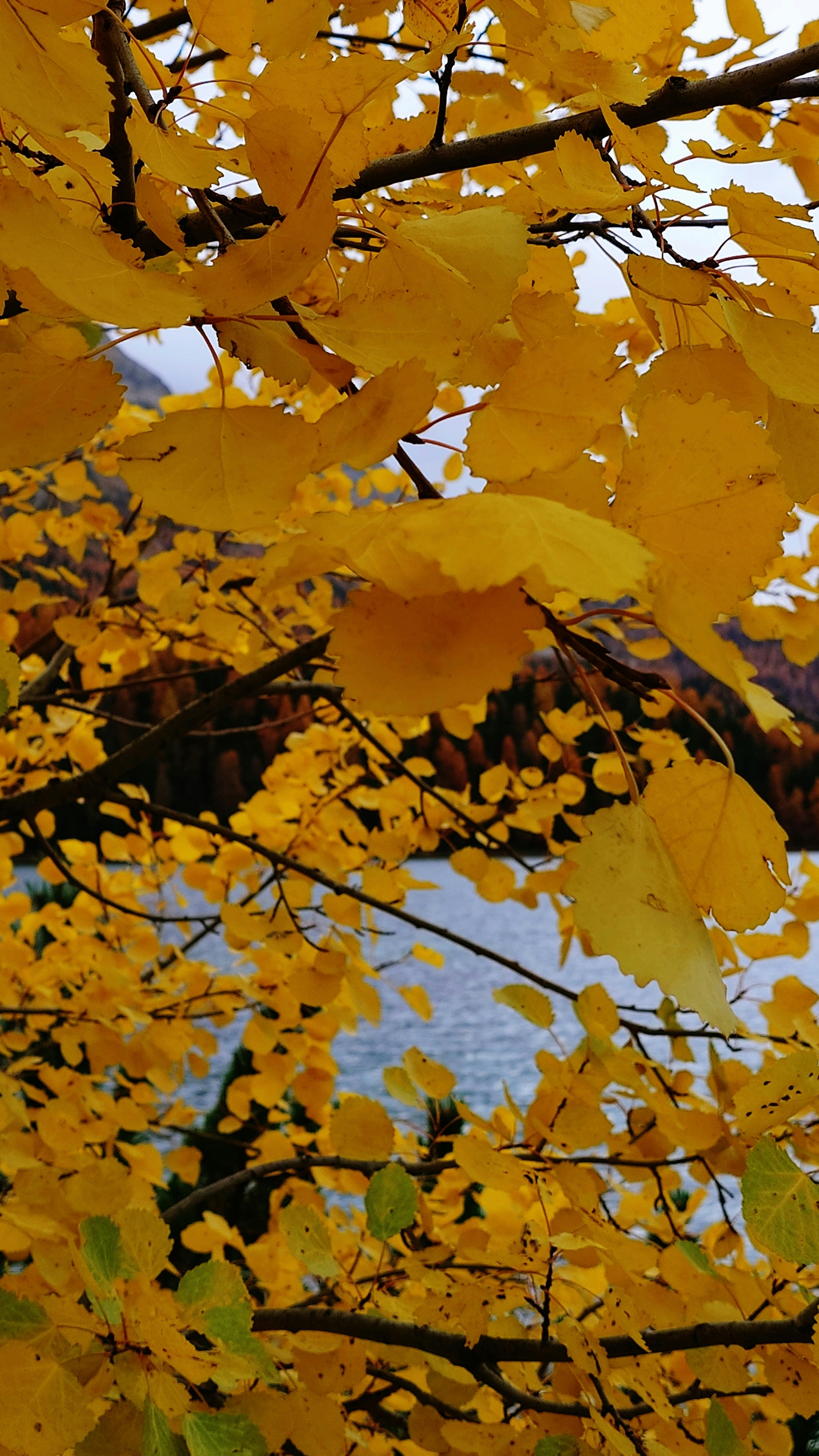 Photo by Xiaozhe Yao