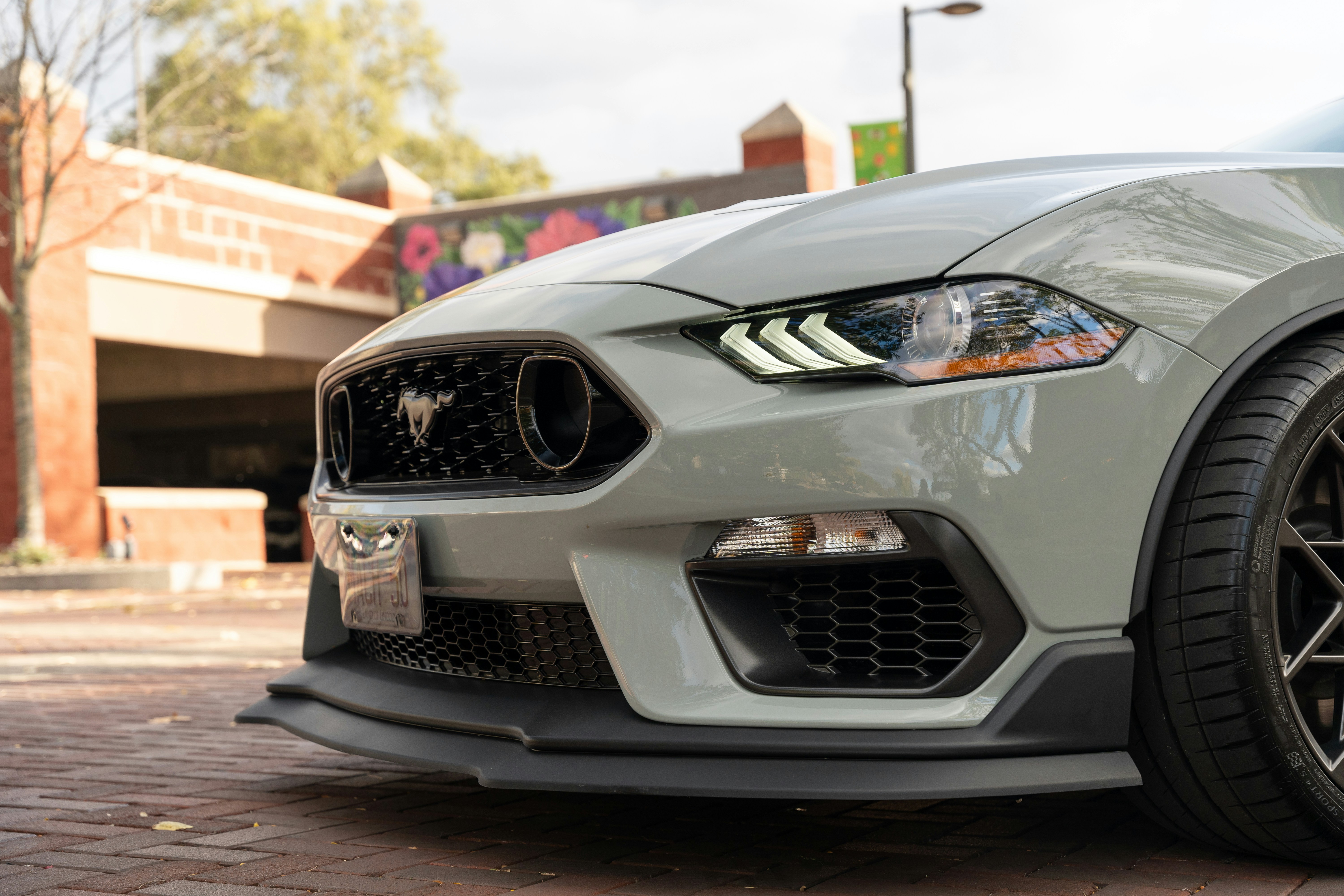 Photo by tinchflicks