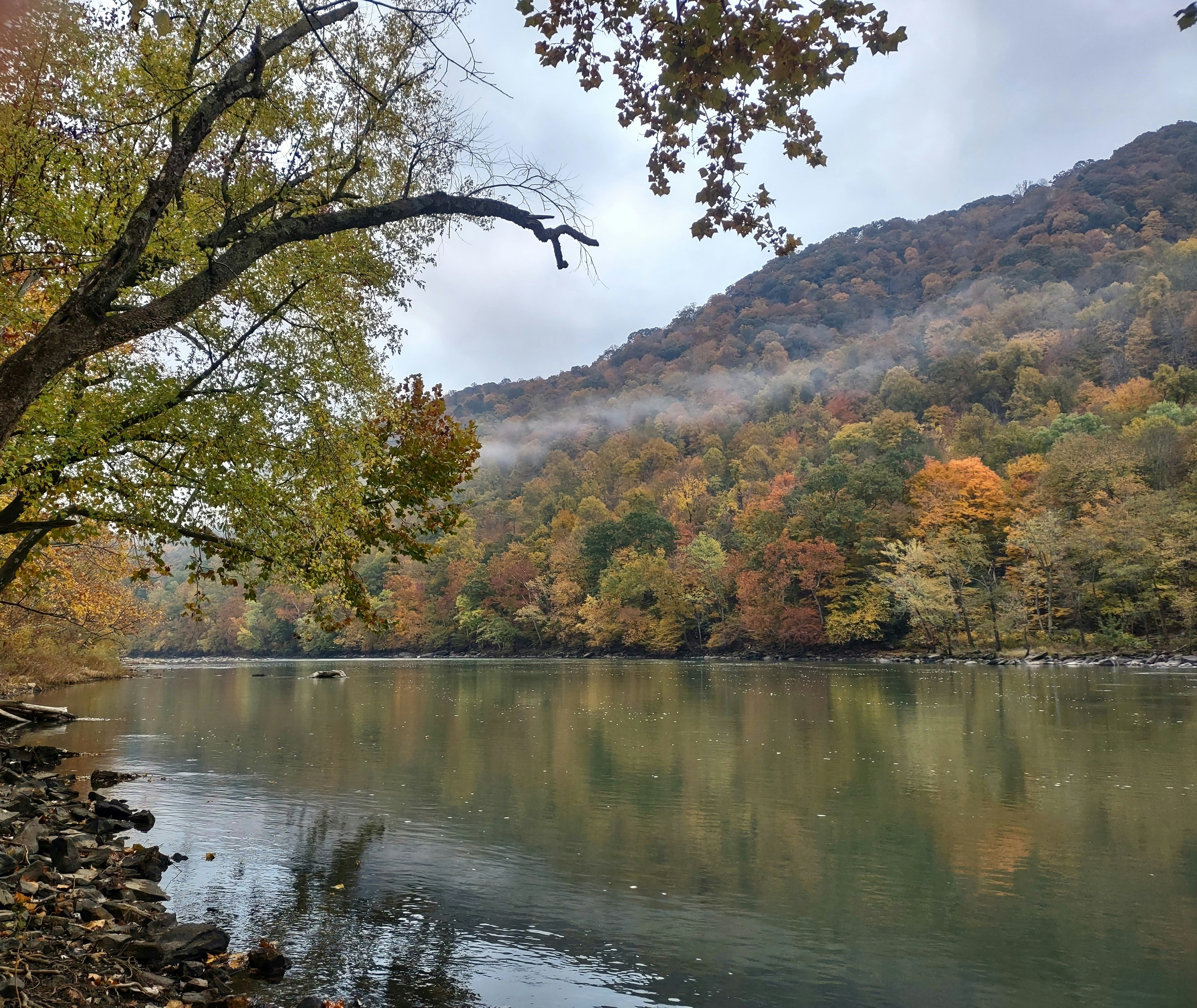 A body of water surrounded by a forest