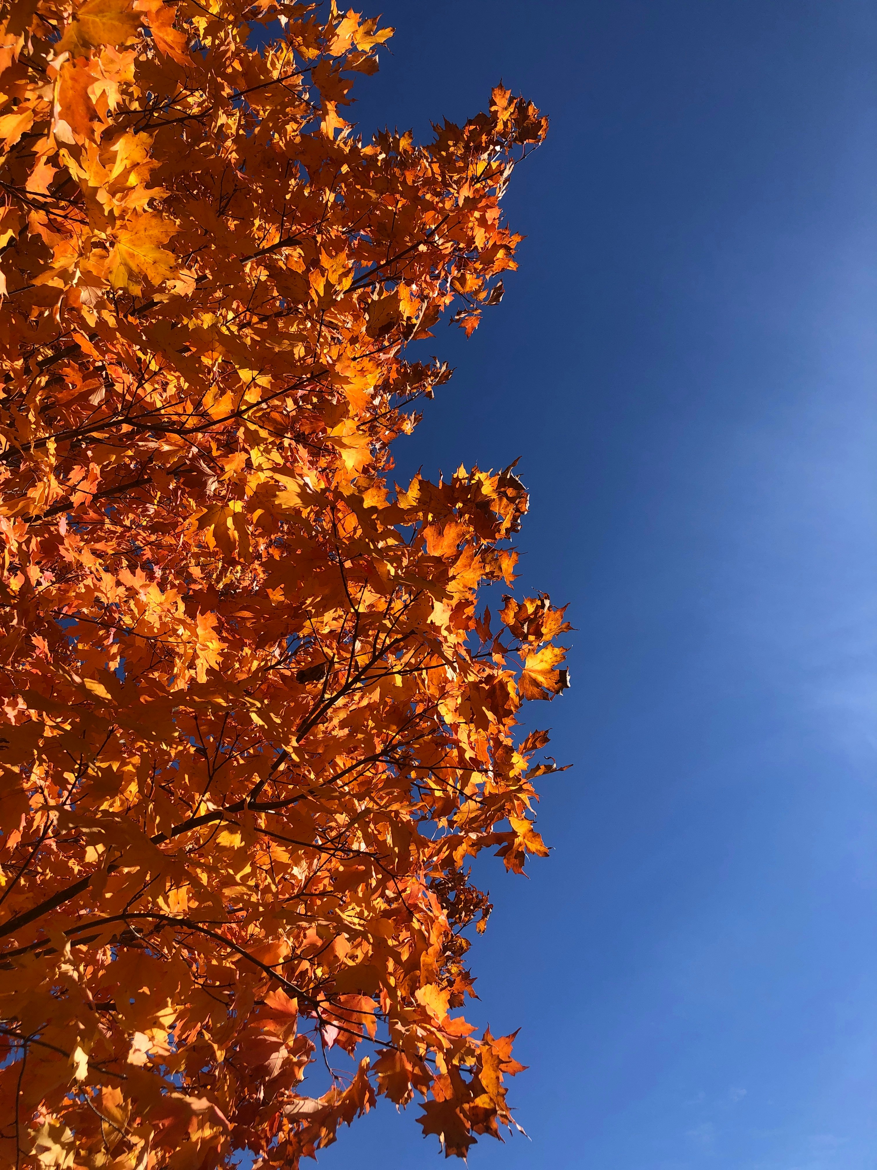 Photo by twinkers_photag