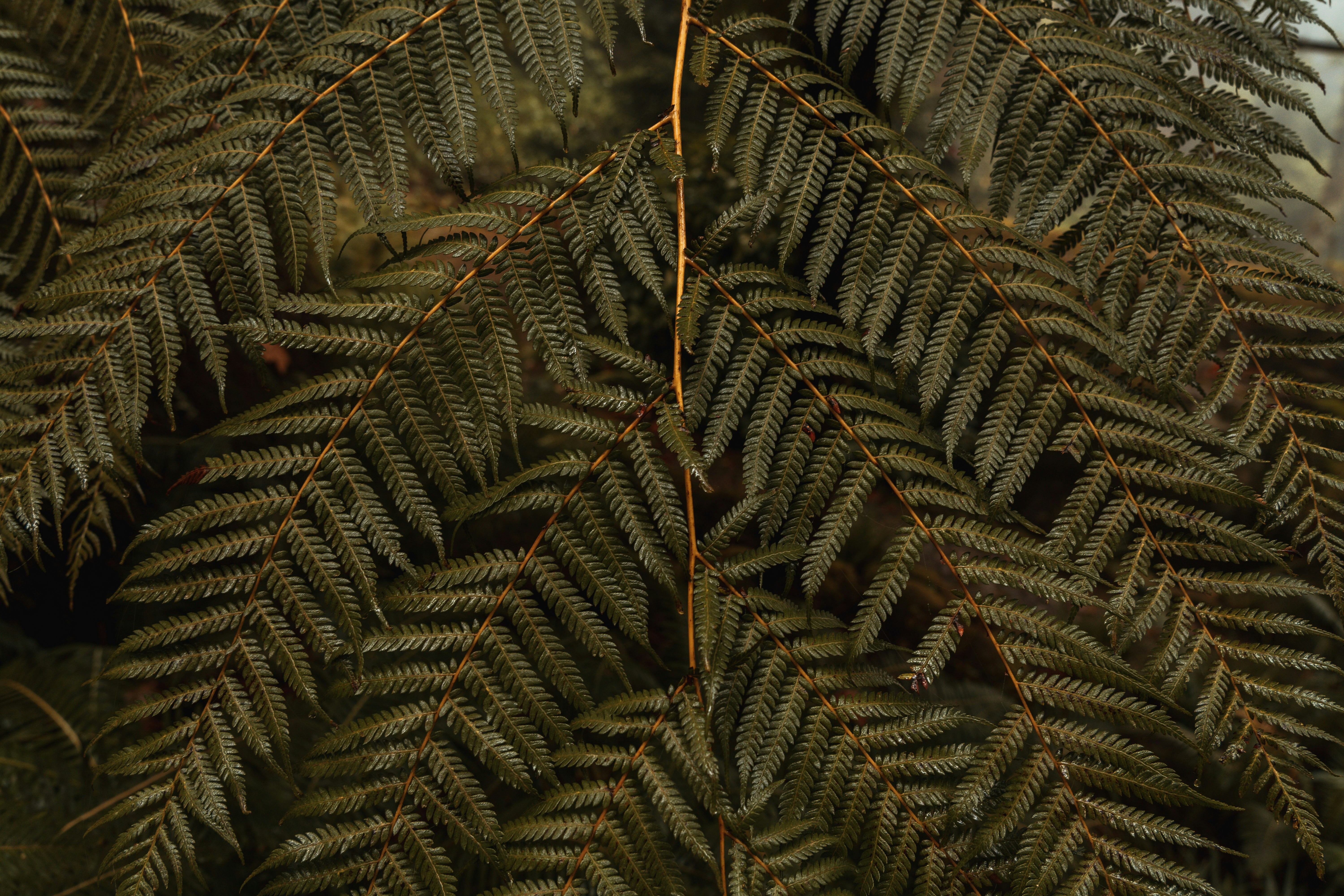 A bird is perched on a branch of a tree