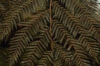 A bird is perched on a branch of a tree