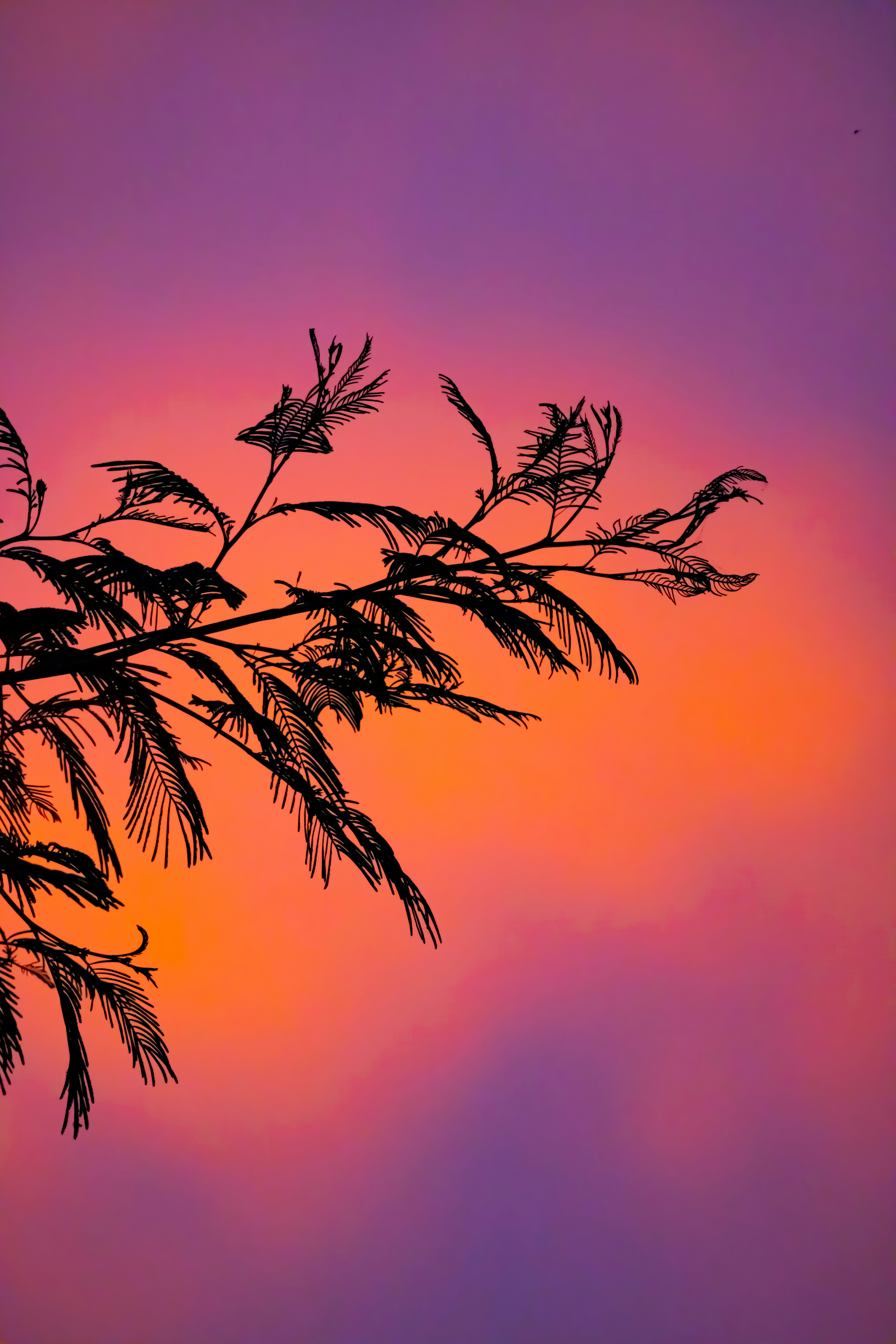 Photo by arttoinspire