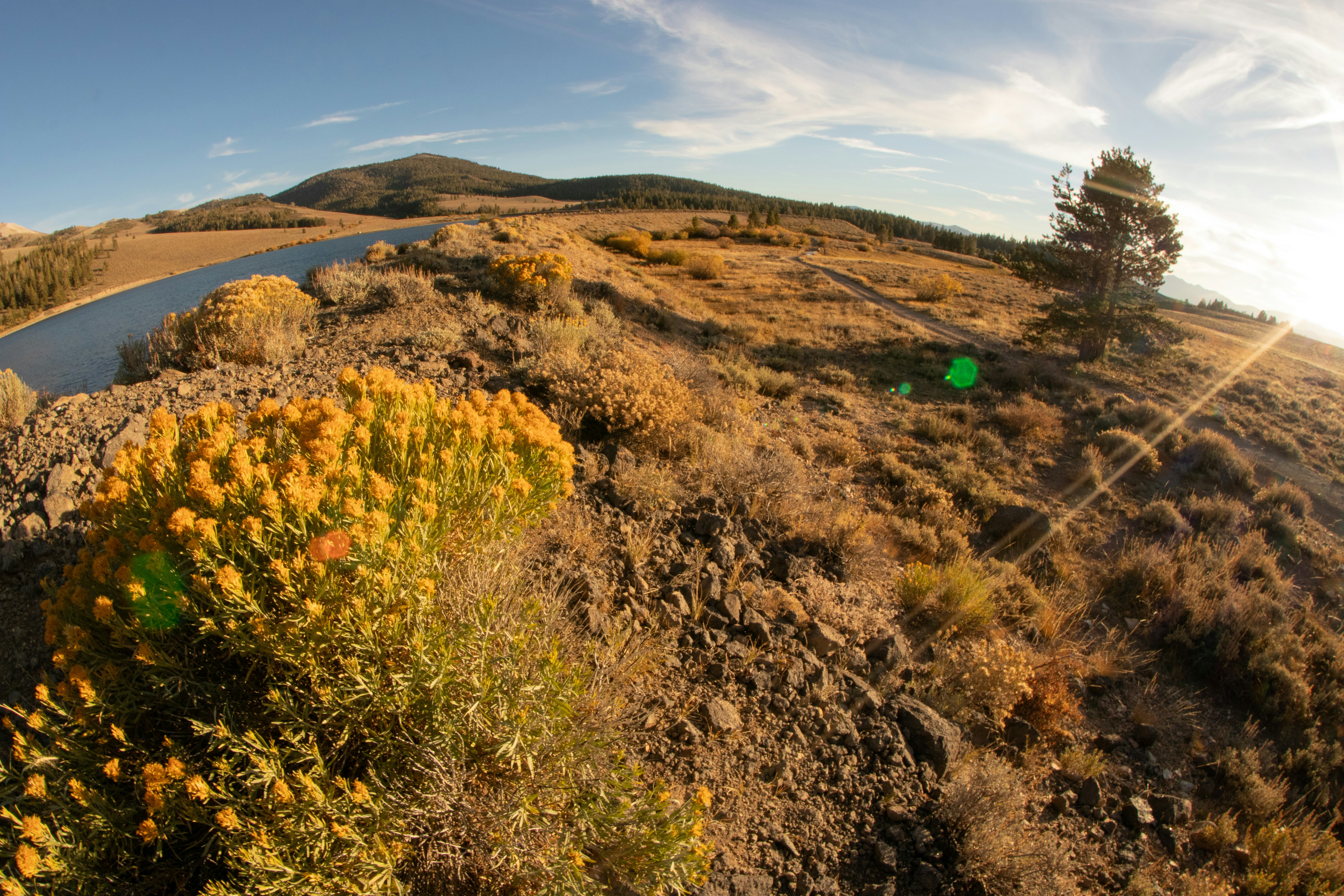 A 360 - lens view of a winding road in the desert