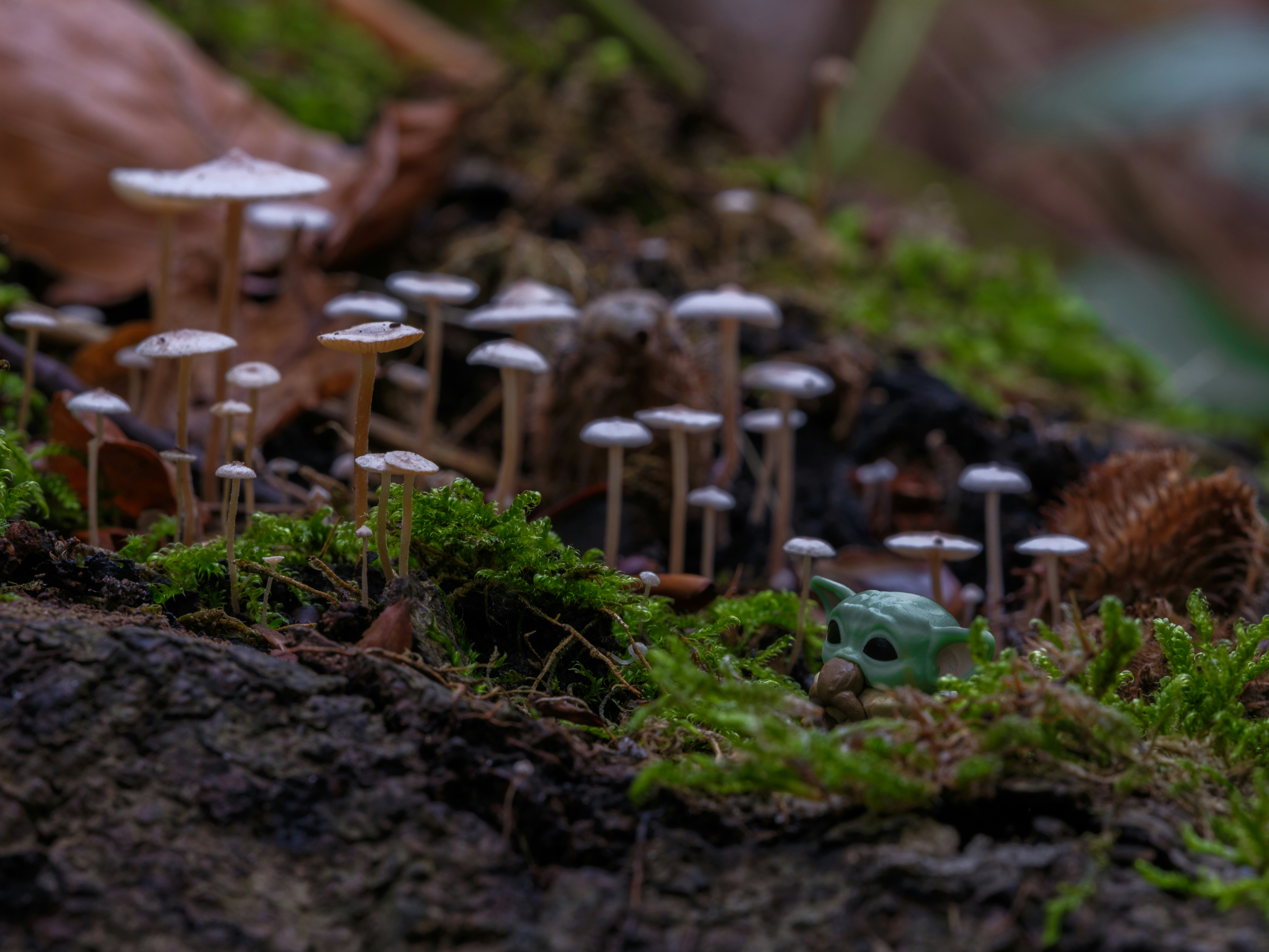 Photo by haberdoedas