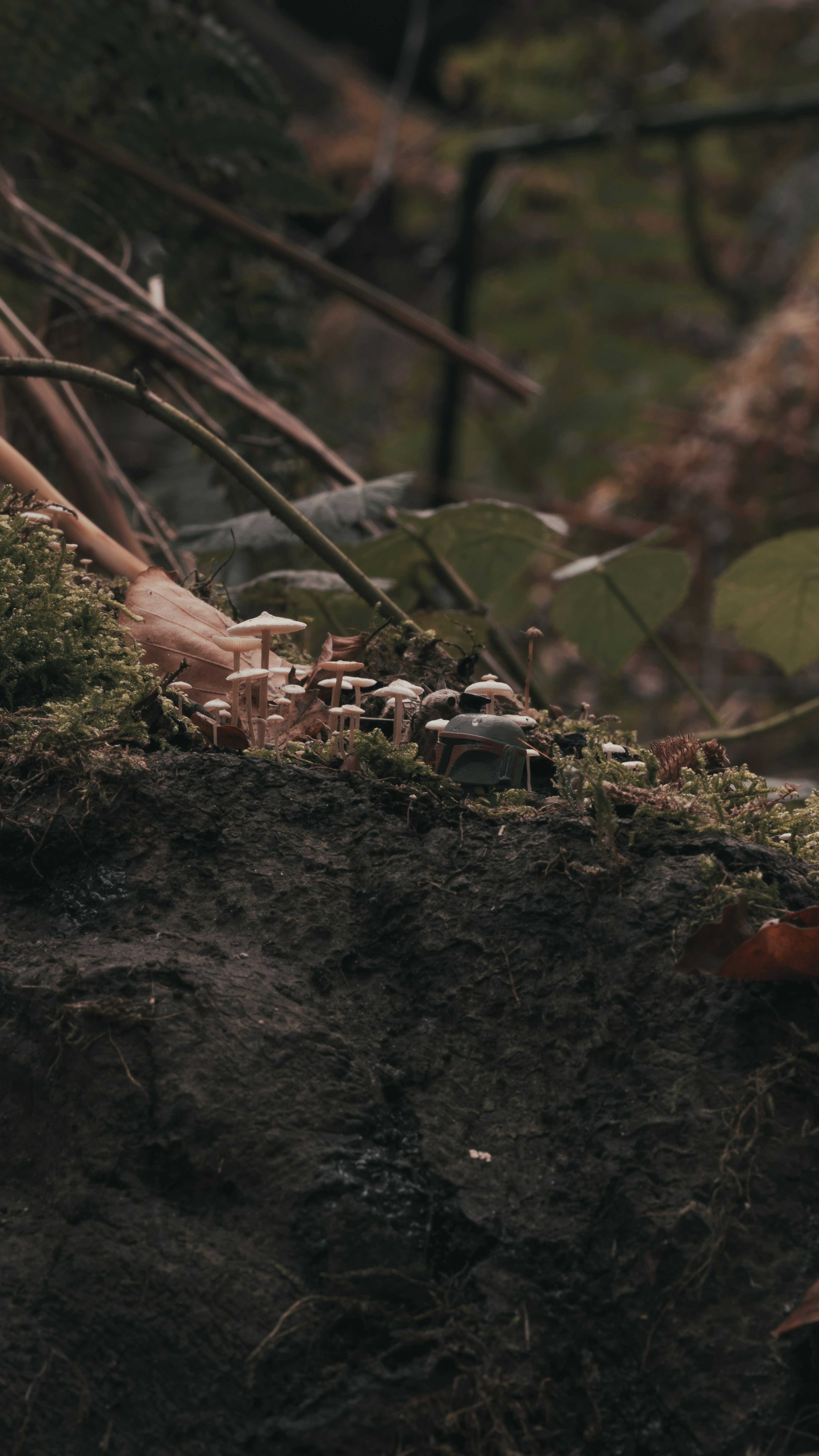 Photo by haberdoedas