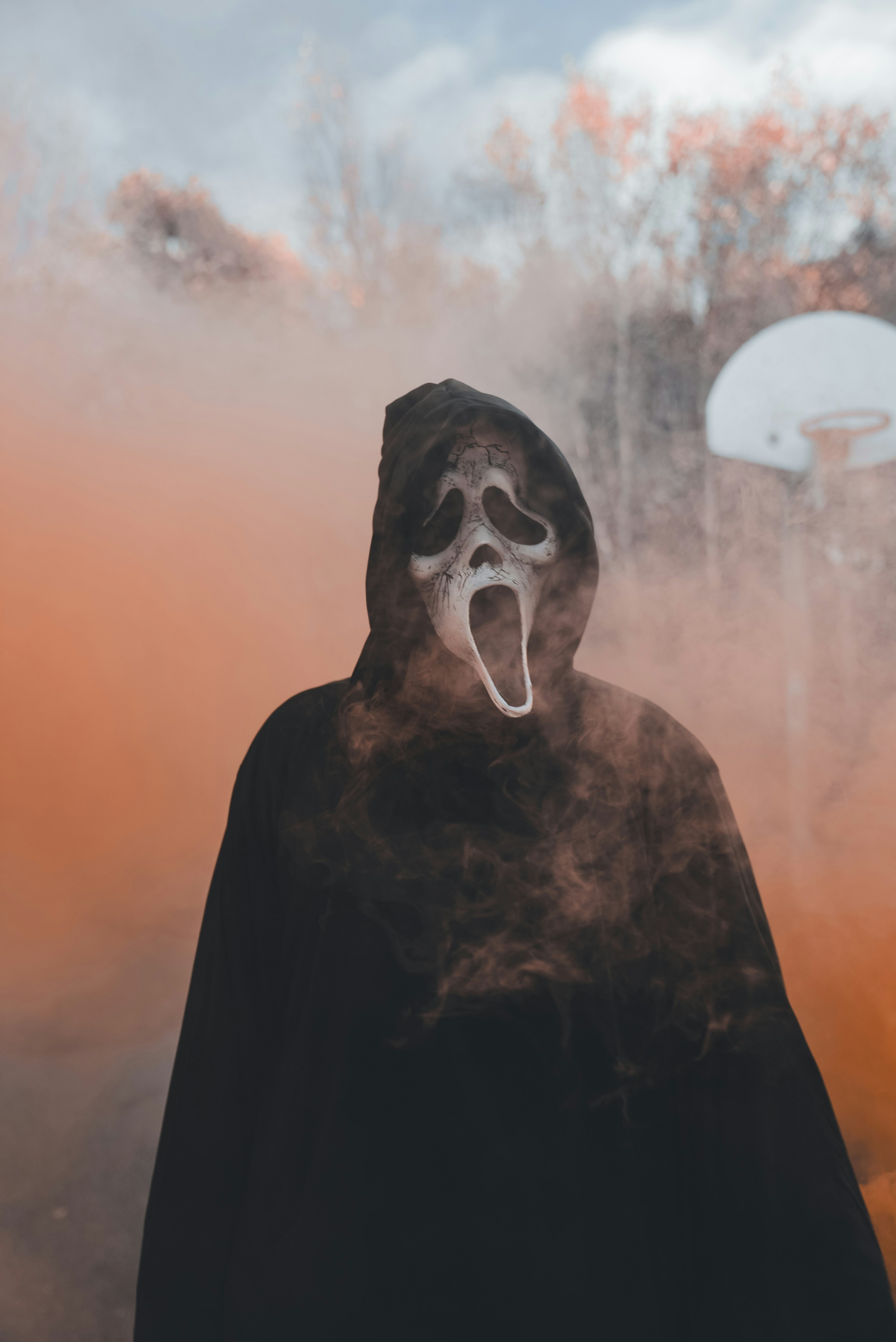 Photo by introspectivedsgn