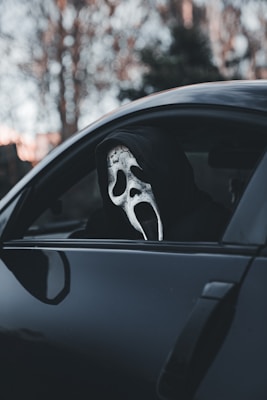 A black car with a white mask sticking out of it's window