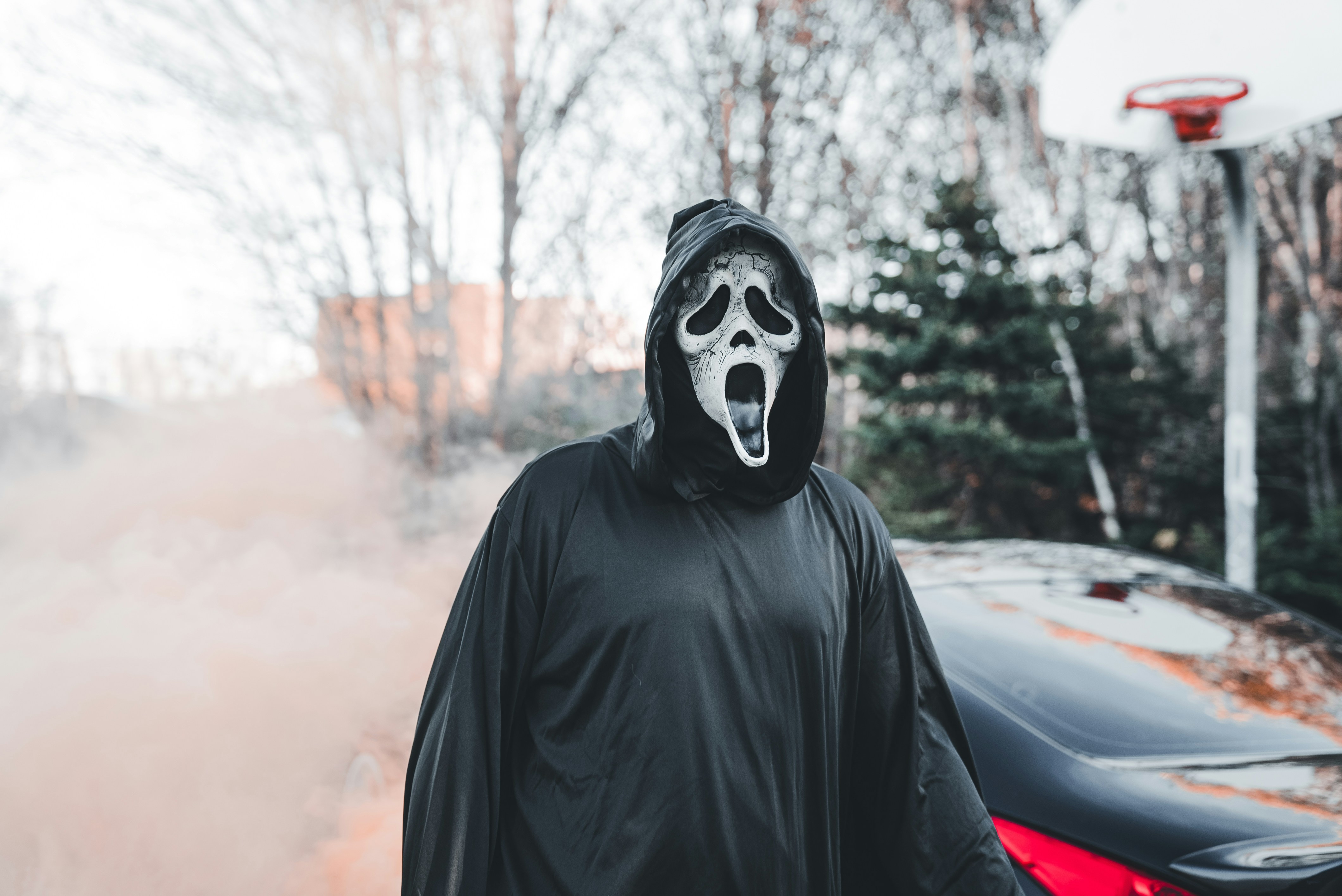 Photo by introspectivedsgn