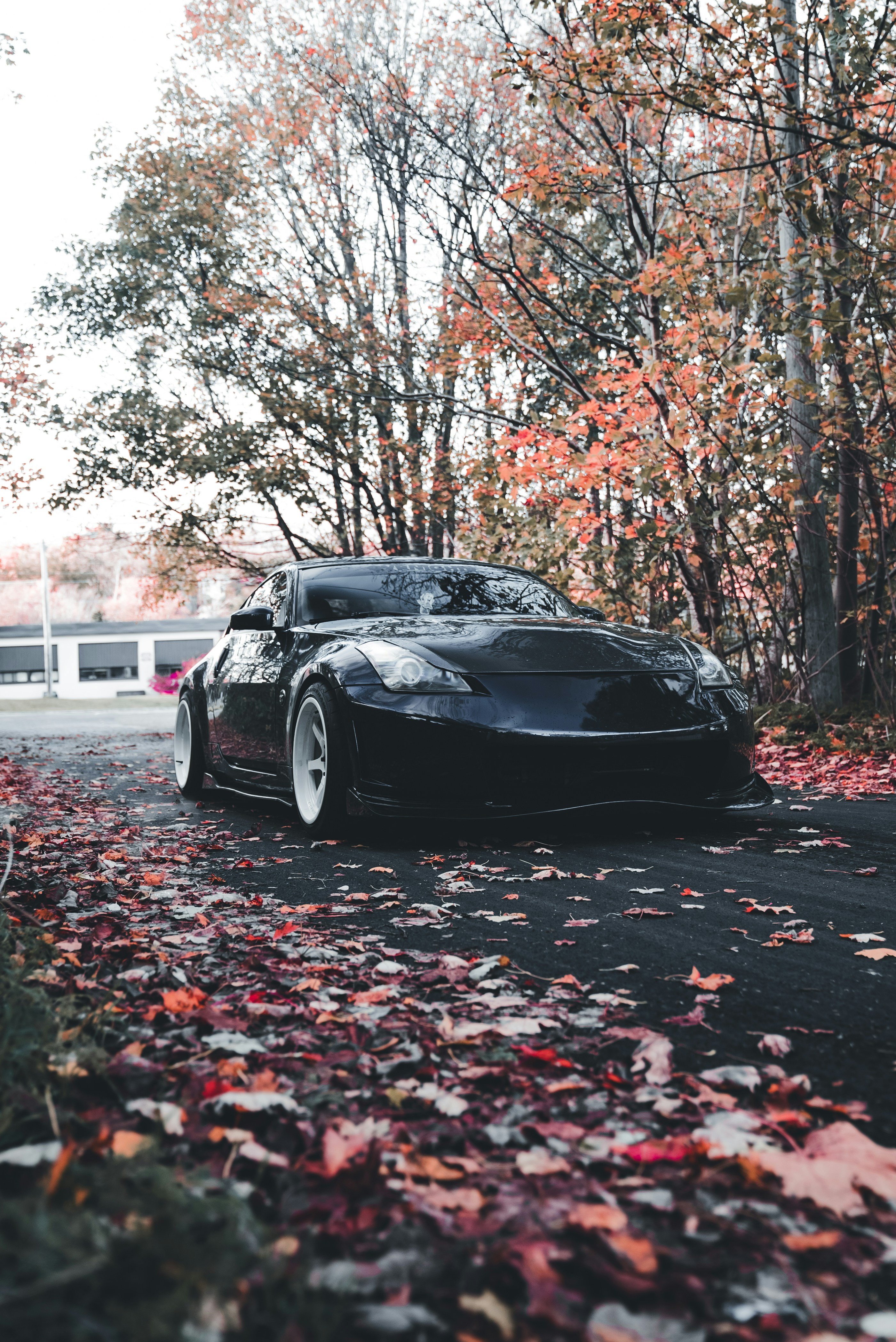 Photo by introspectivedsgn