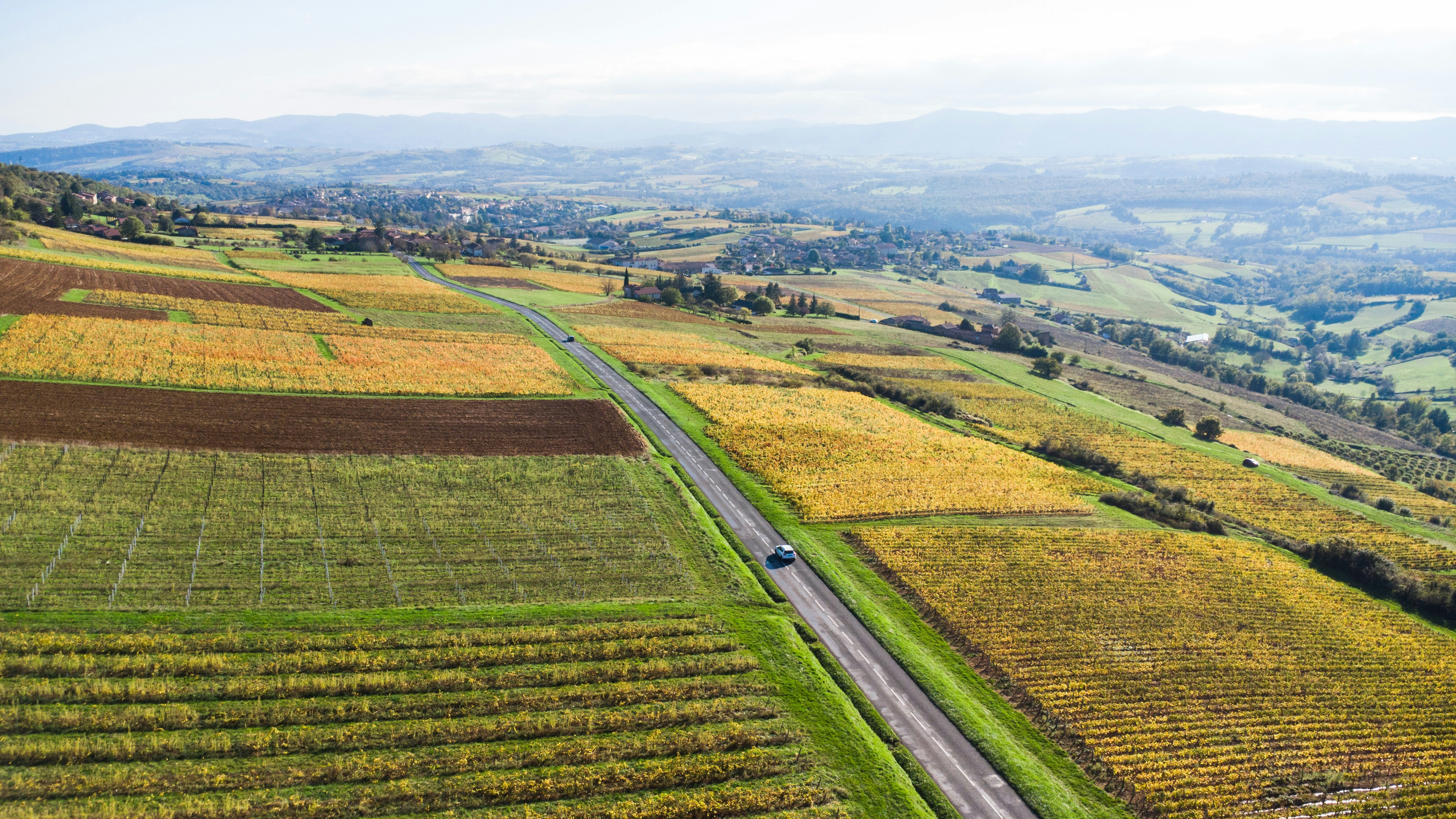 Aerial view of agricultural fields with road