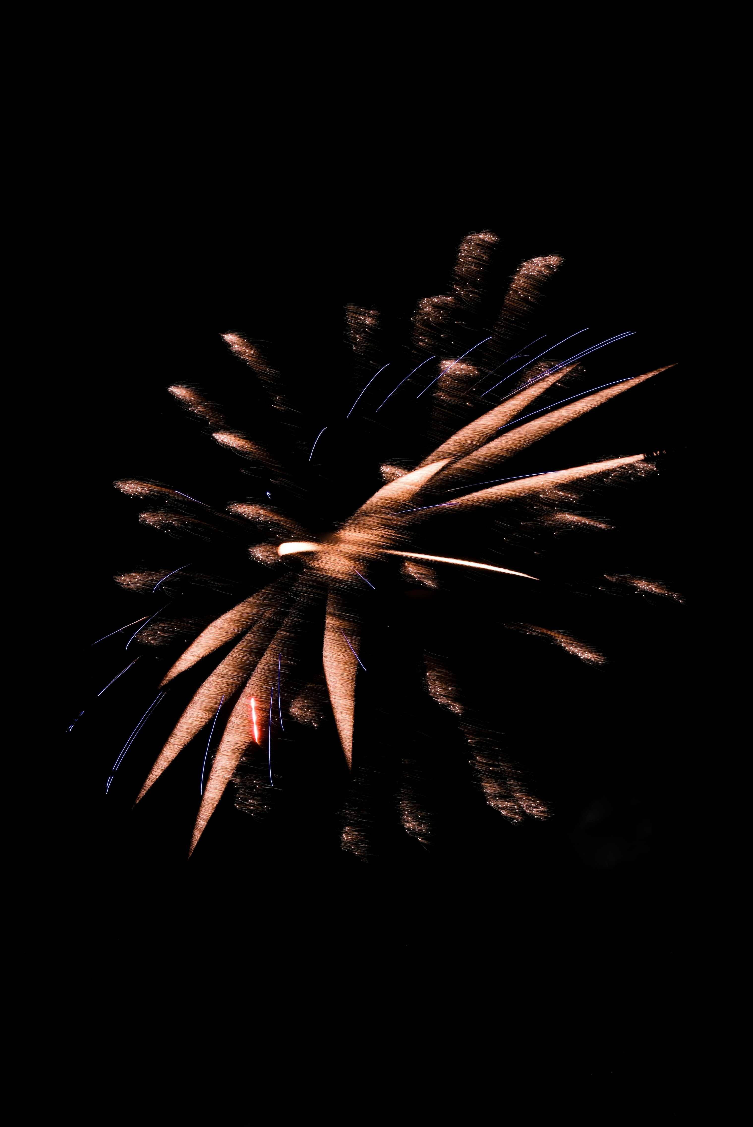 Photo by consoledotlog