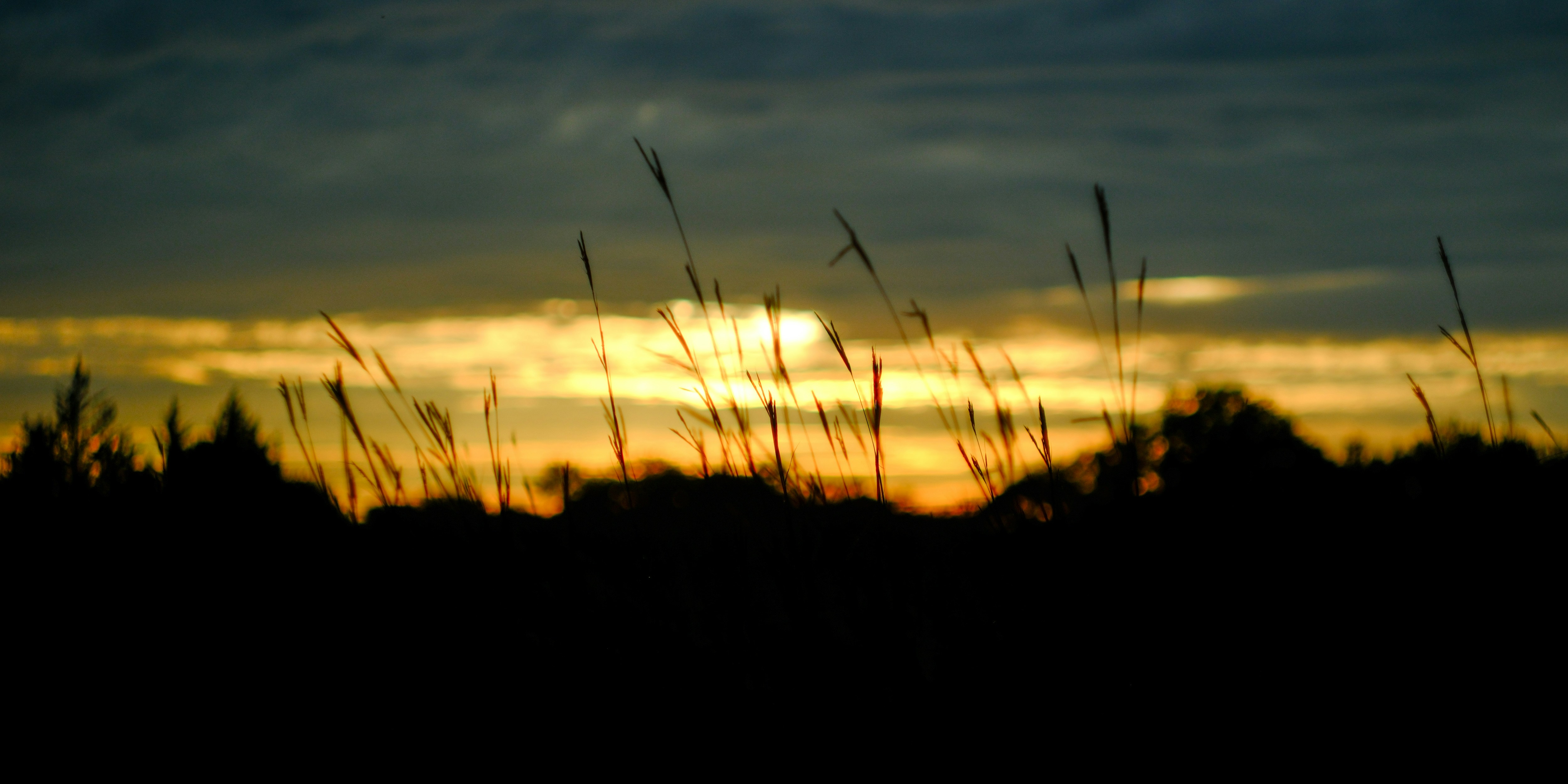 Photo by consoledotlog