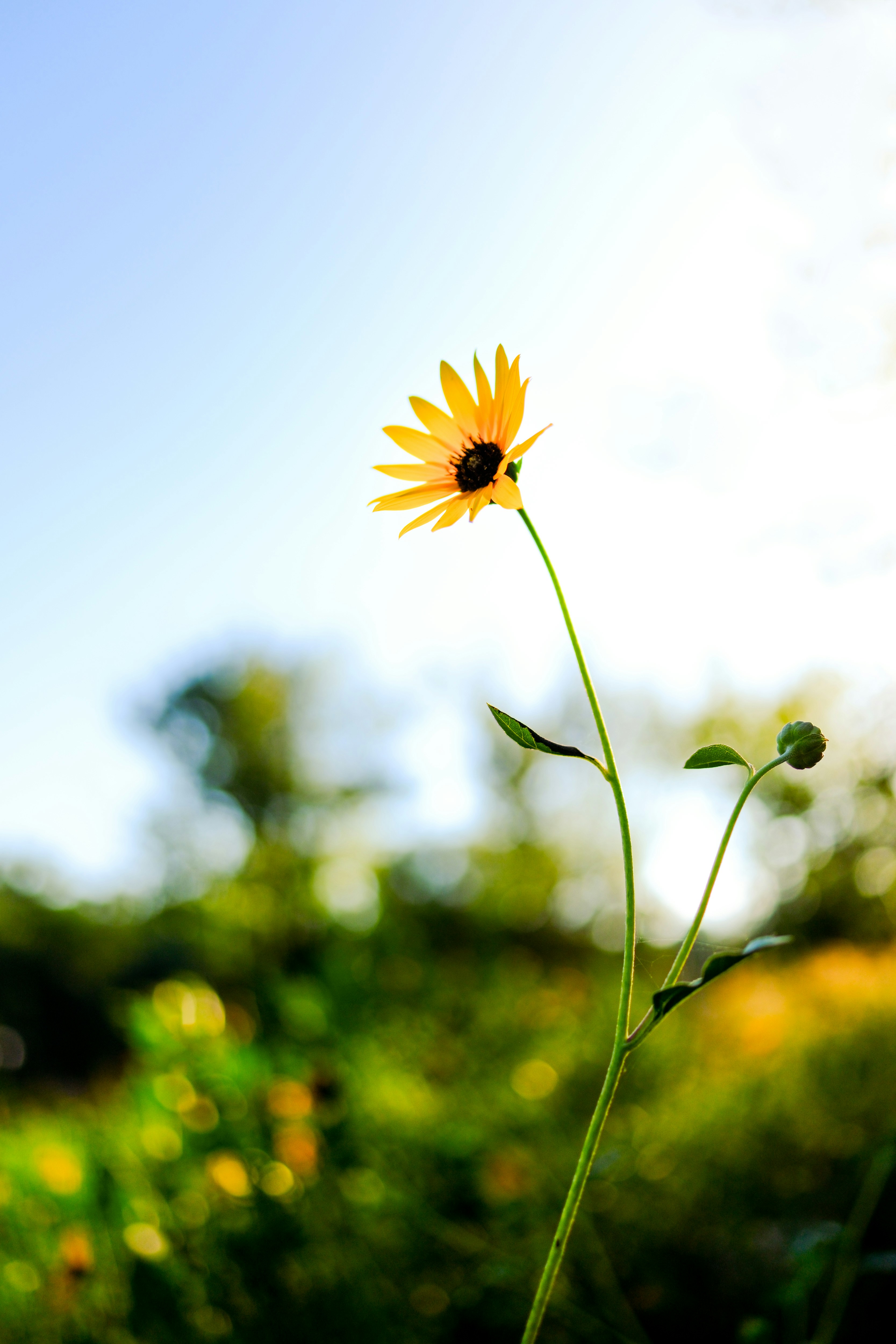 Photo by consoledotlog