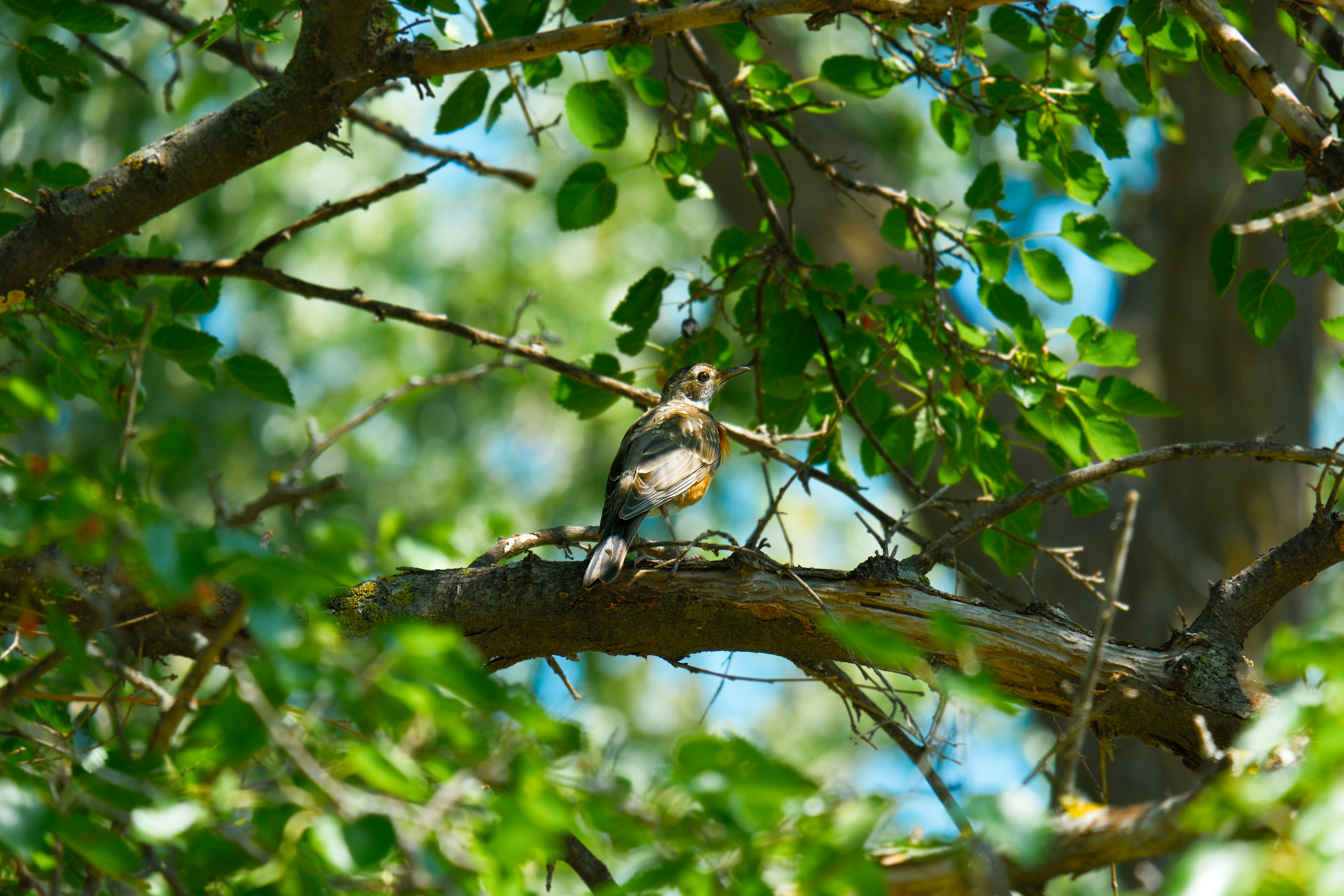 Photo by consoledotlog