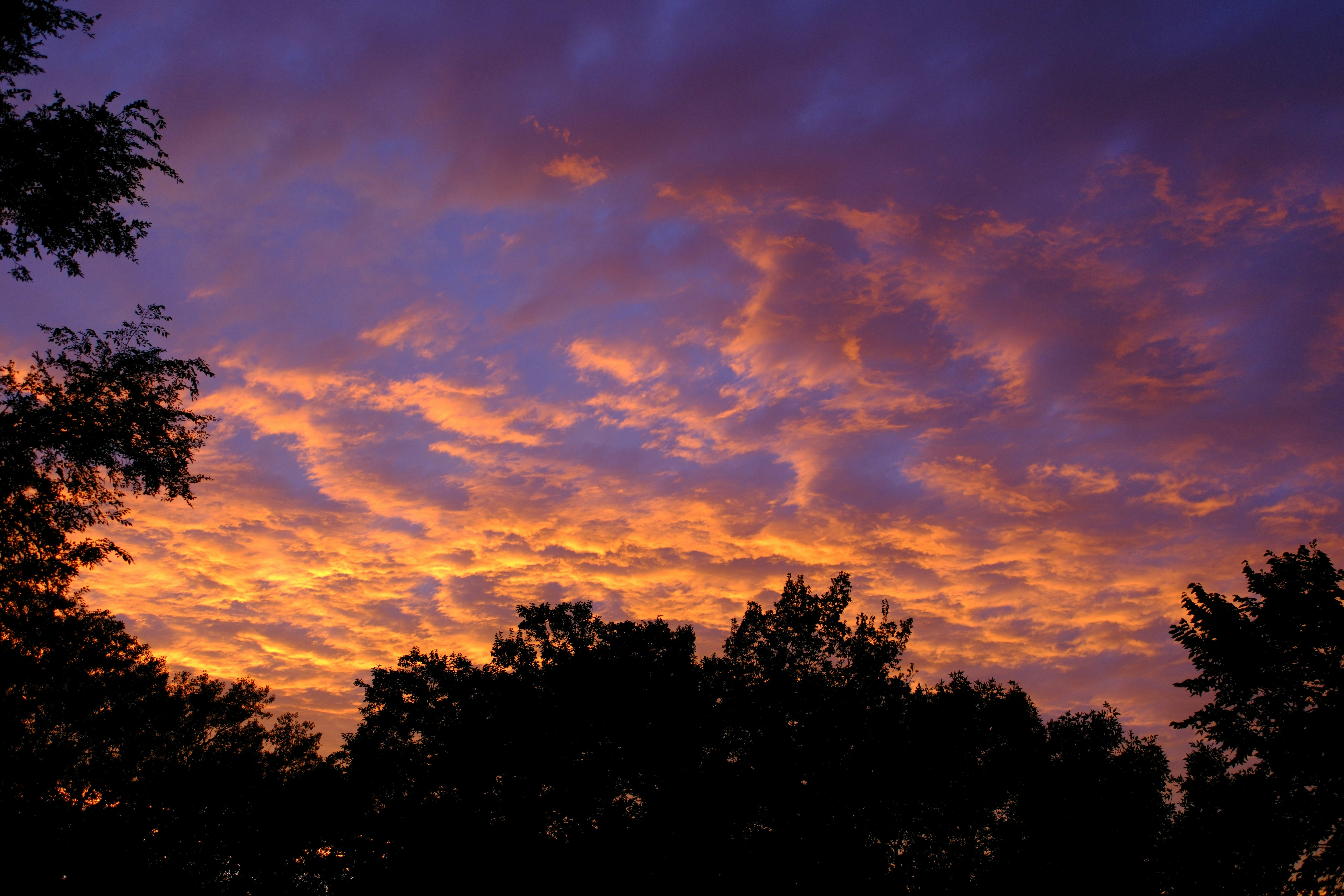 Photo by consoledotlog