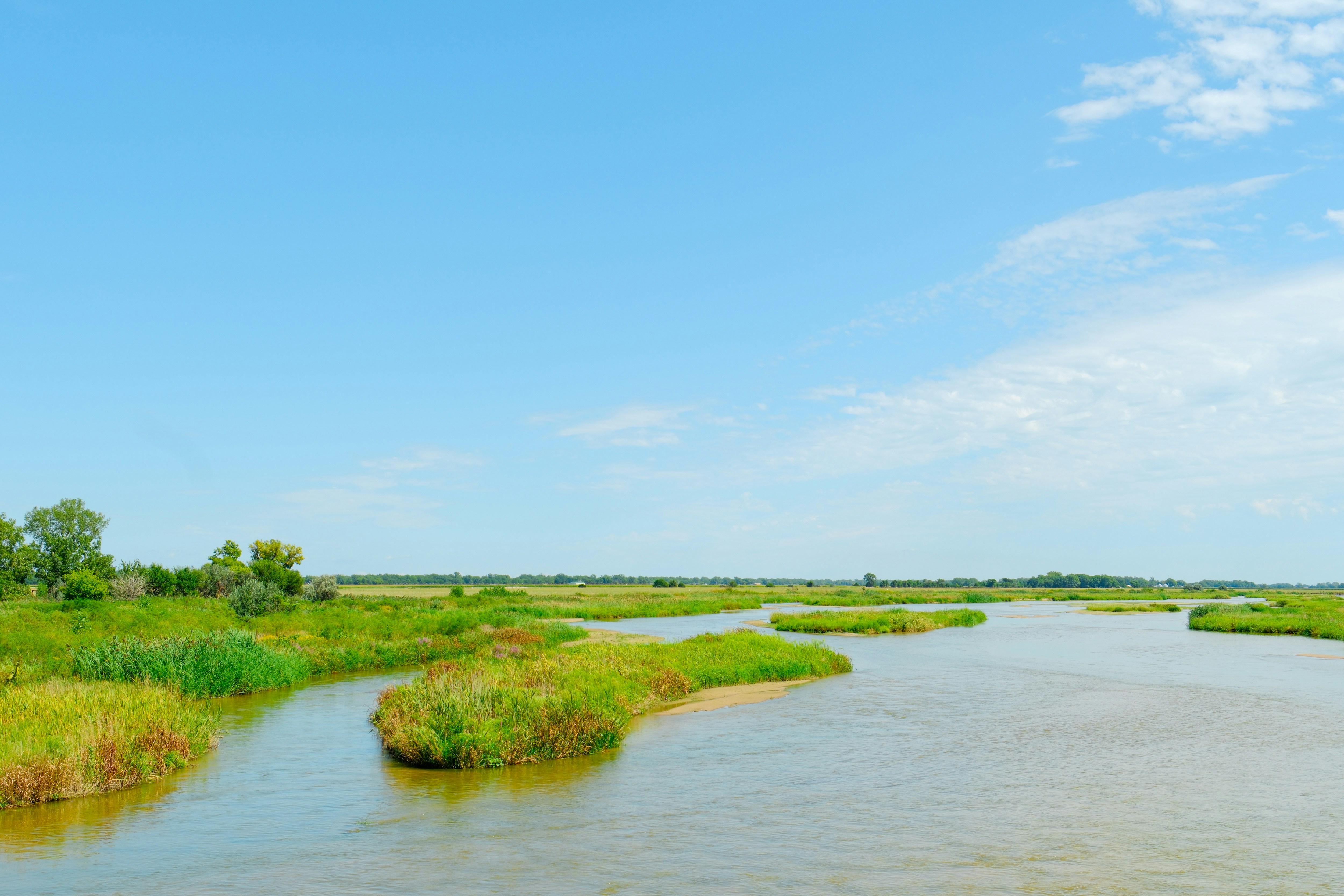 Photo by consoledotlog