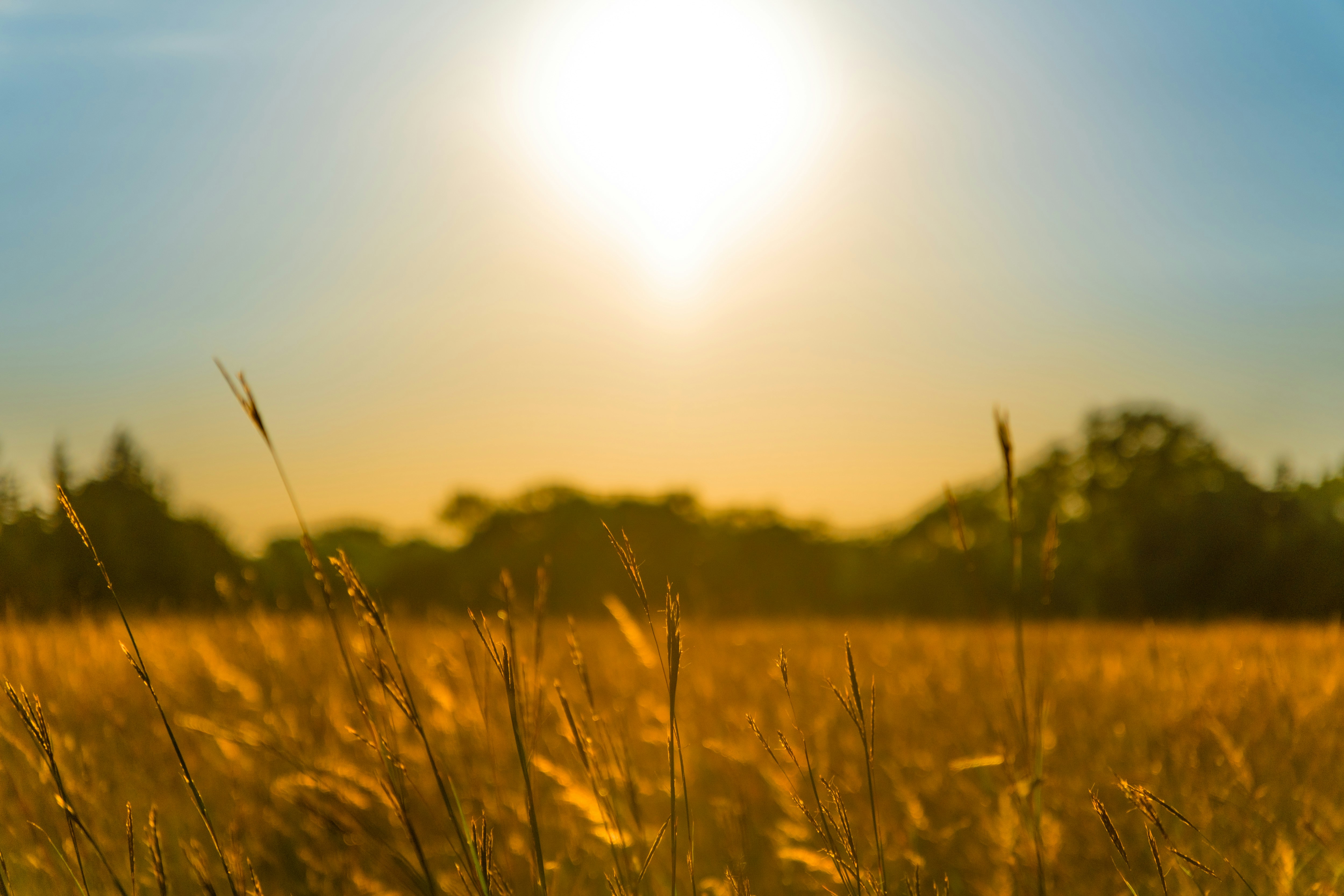 Photo by consoledotlog