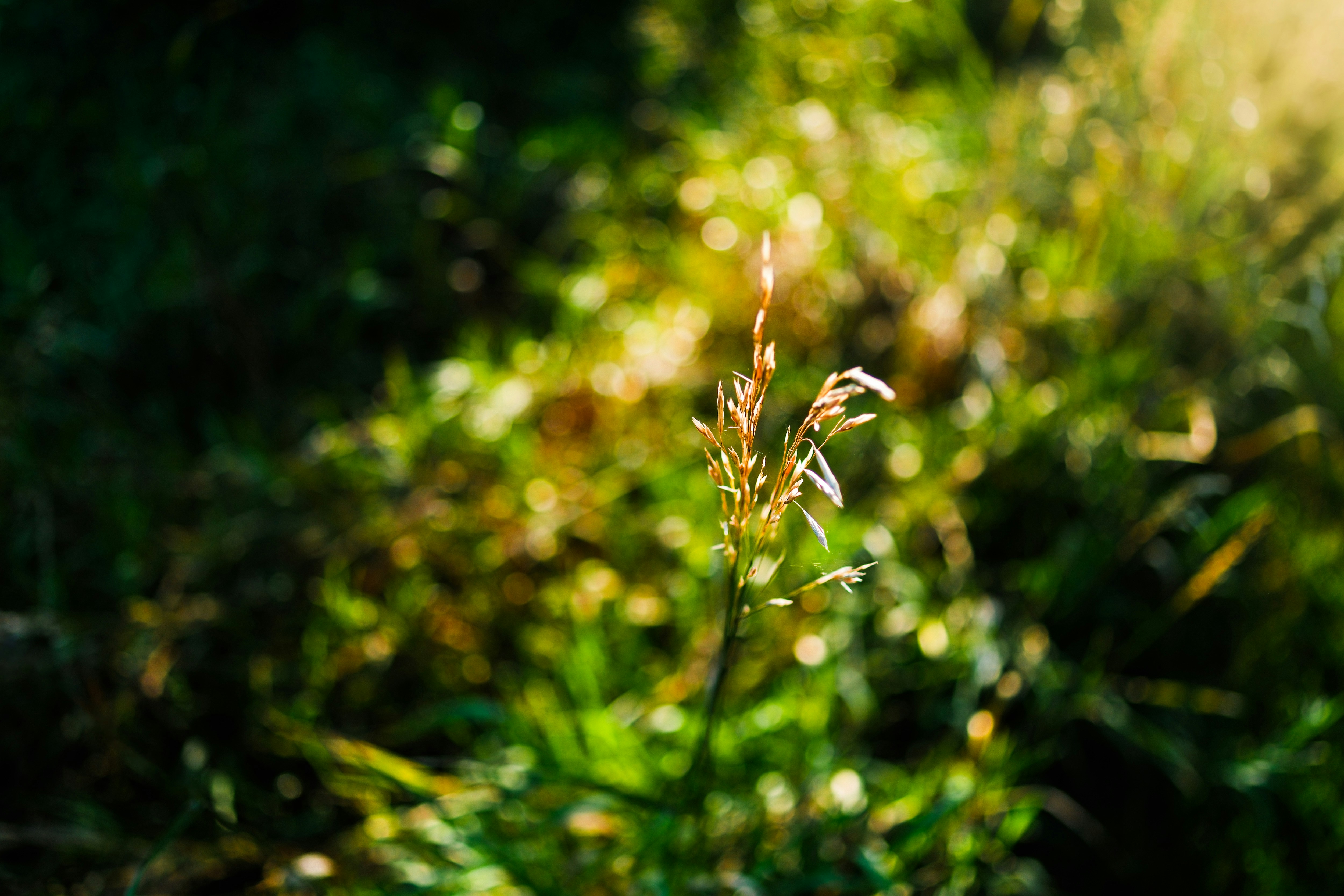 Photo by consoledotlog