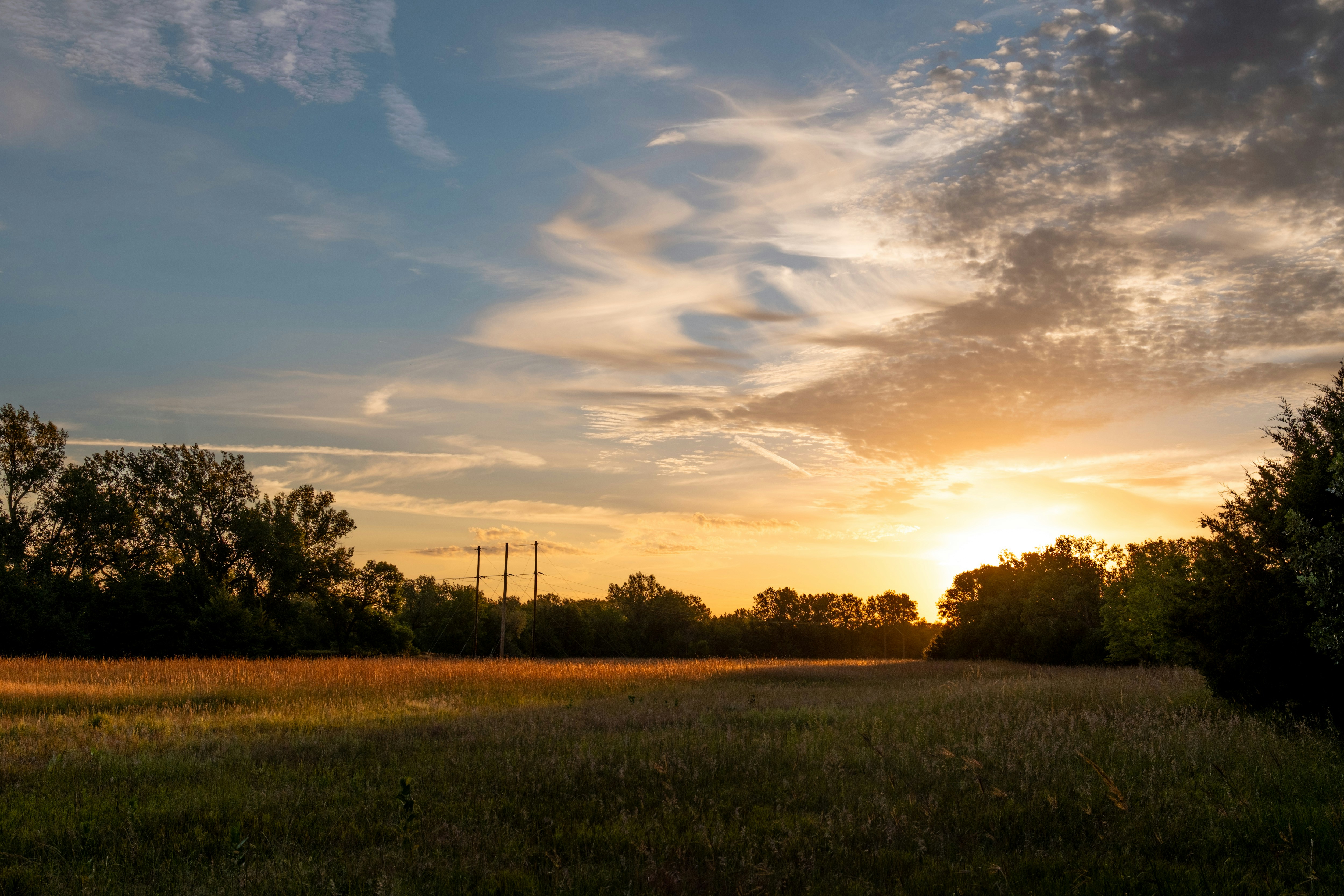 Photo by consoledotlog