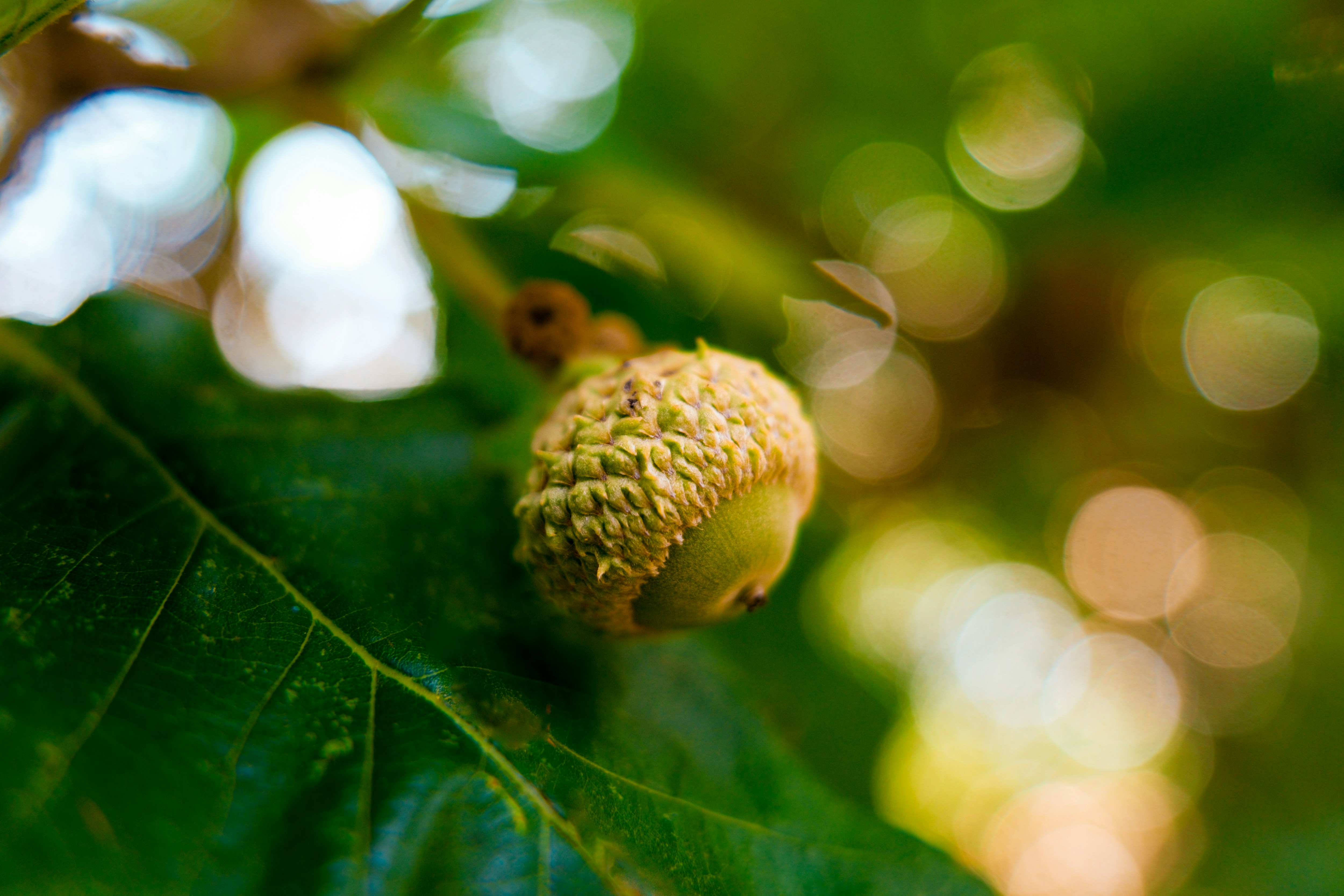 Photo by consoledotlog