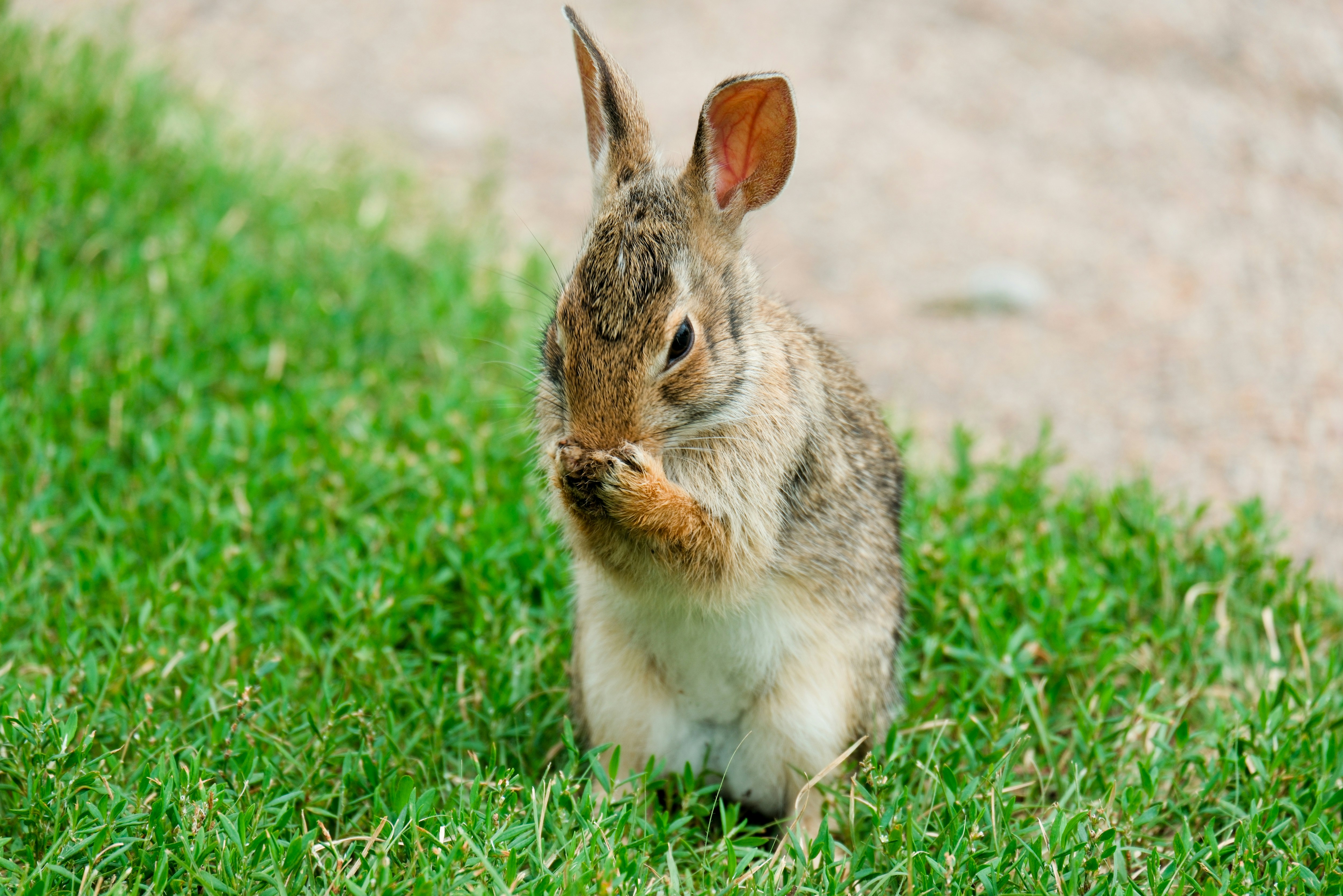 Photo by consoledotlog