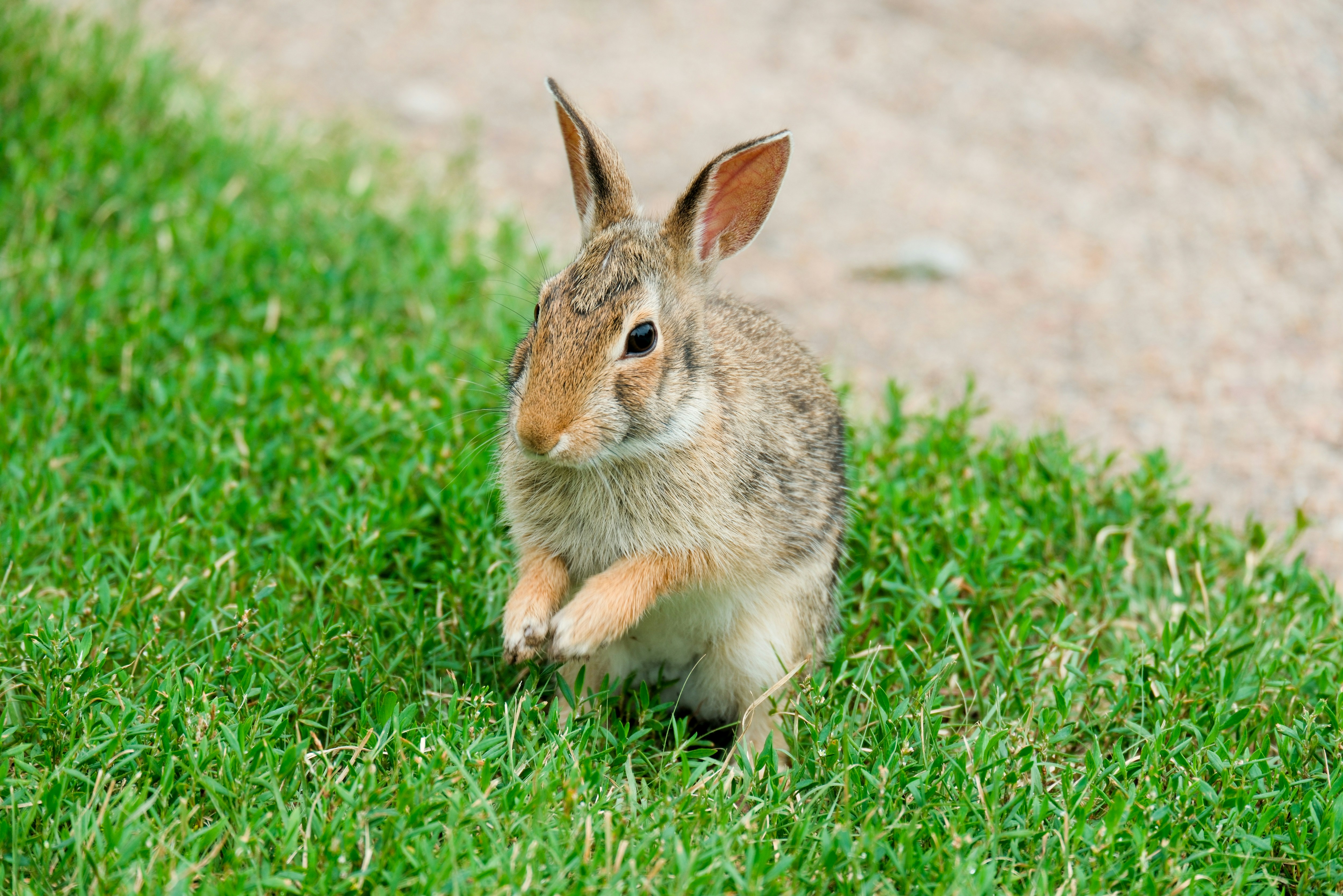 Photo by consoledotlog