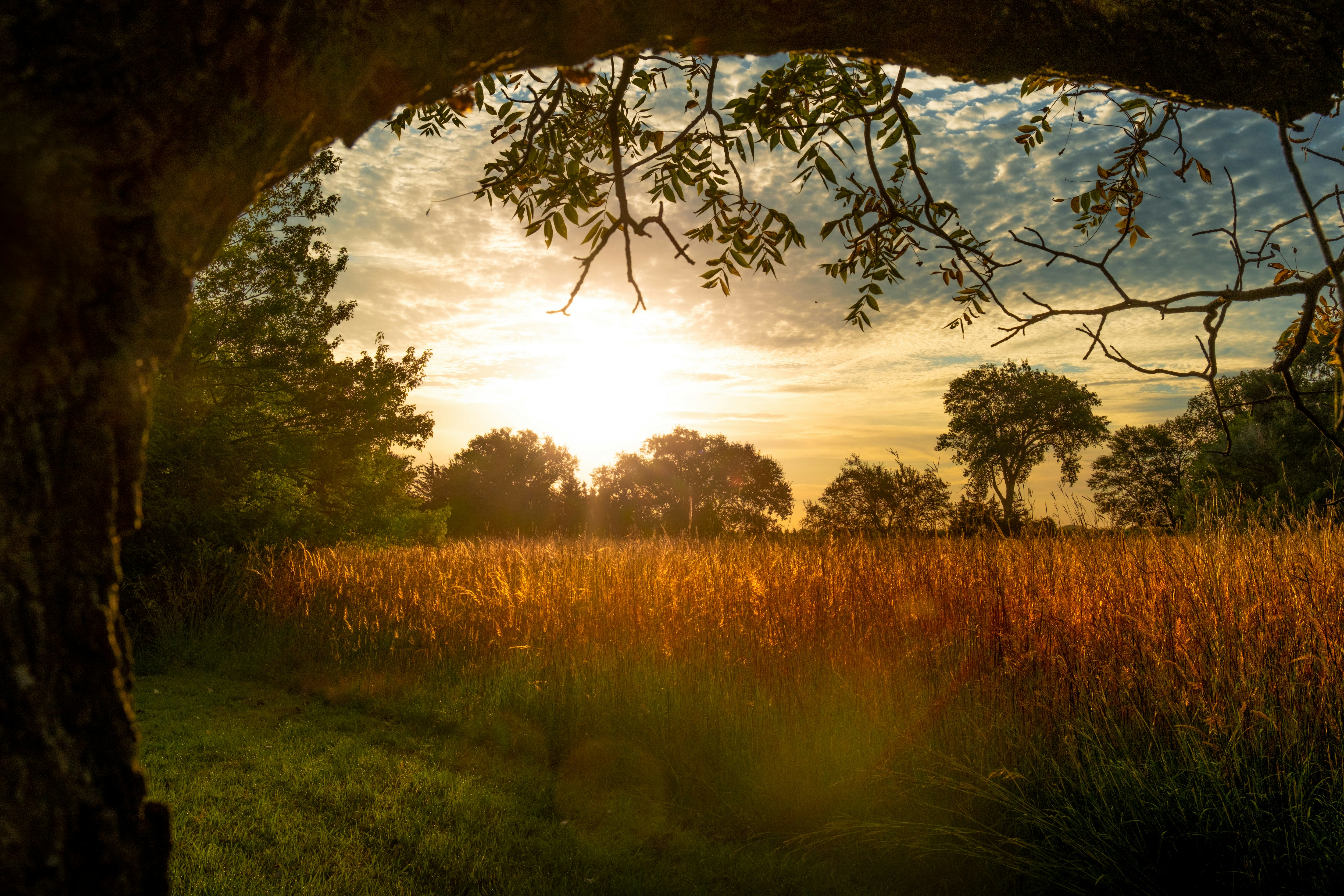 Photo by consoledotlog