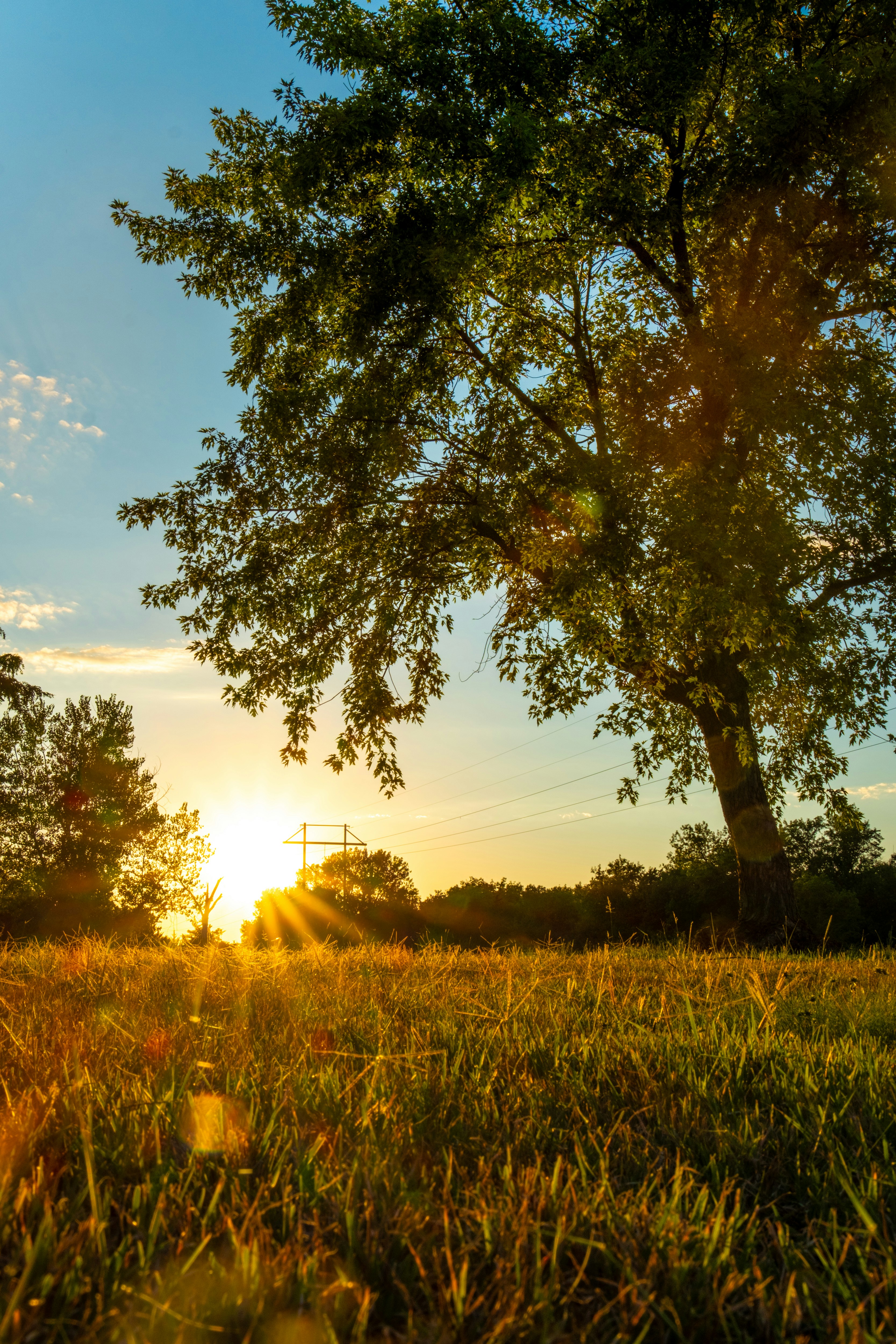 Photo by consoledotlog