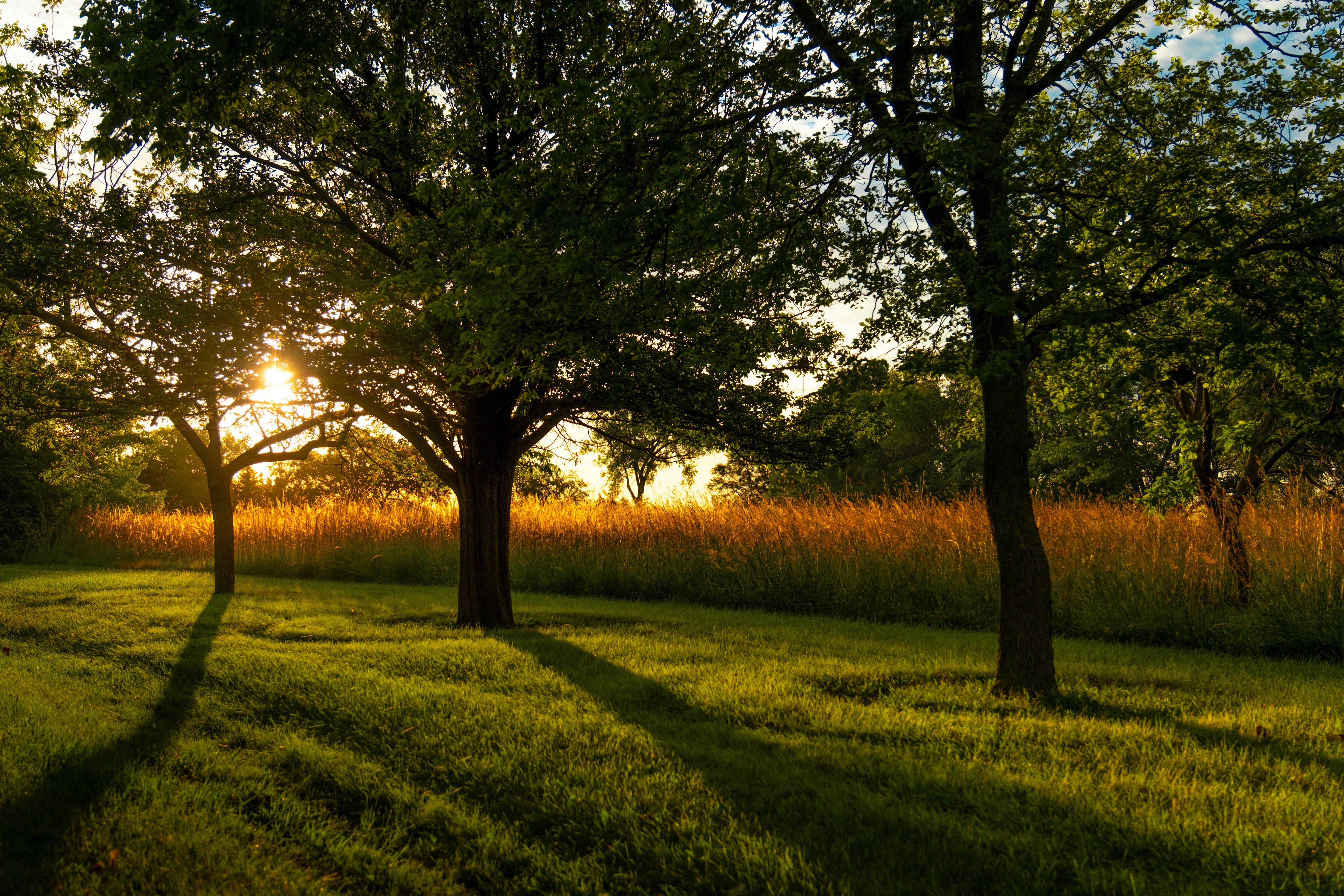 Photo by consoledotlog